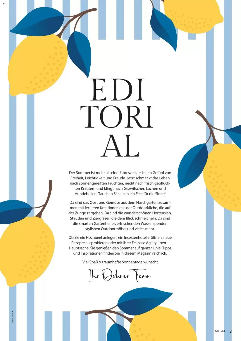 Dehner Flugblatt (ab 01.05.2026) - Angebote und Prospekt - Seite 3