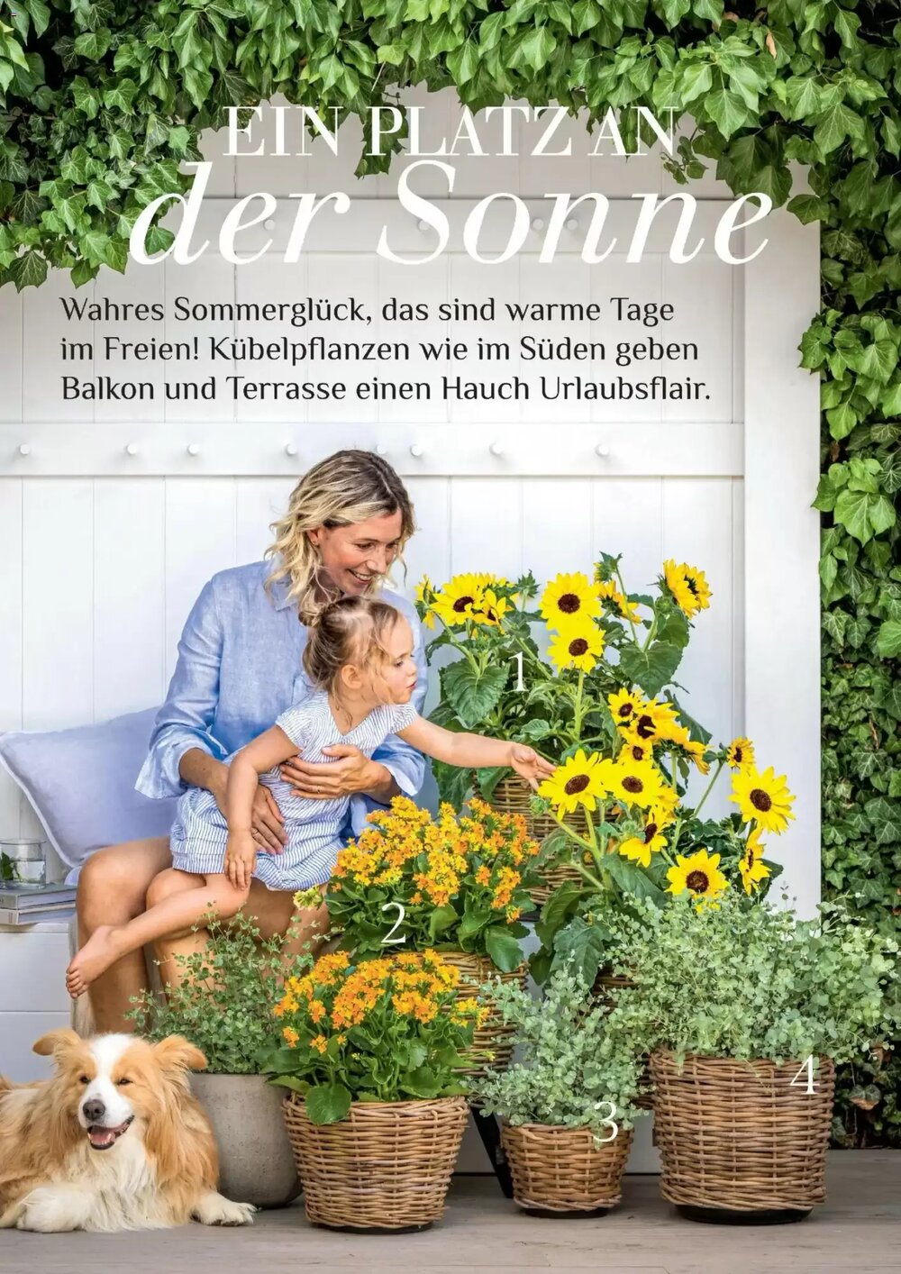 Dehner Flugblatt (ab 01.05.2026) - Angebote und Prospekt - Seite 30