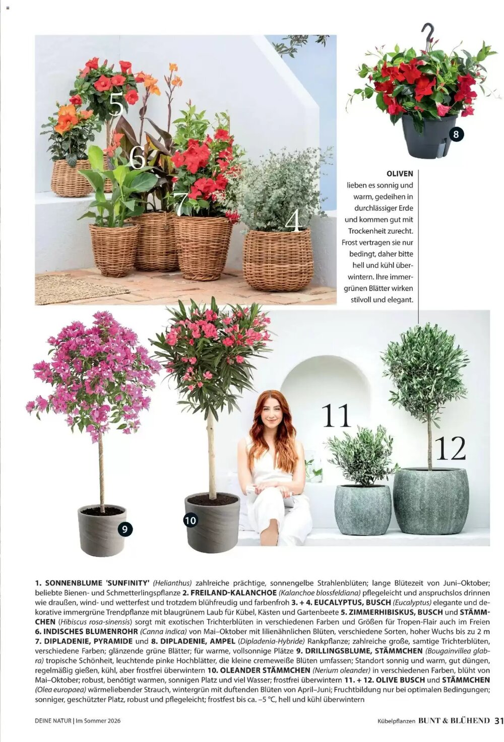 Dehner Flugblatt (ab 01.05.2026) - Angebote und Prospekt - Seite 31