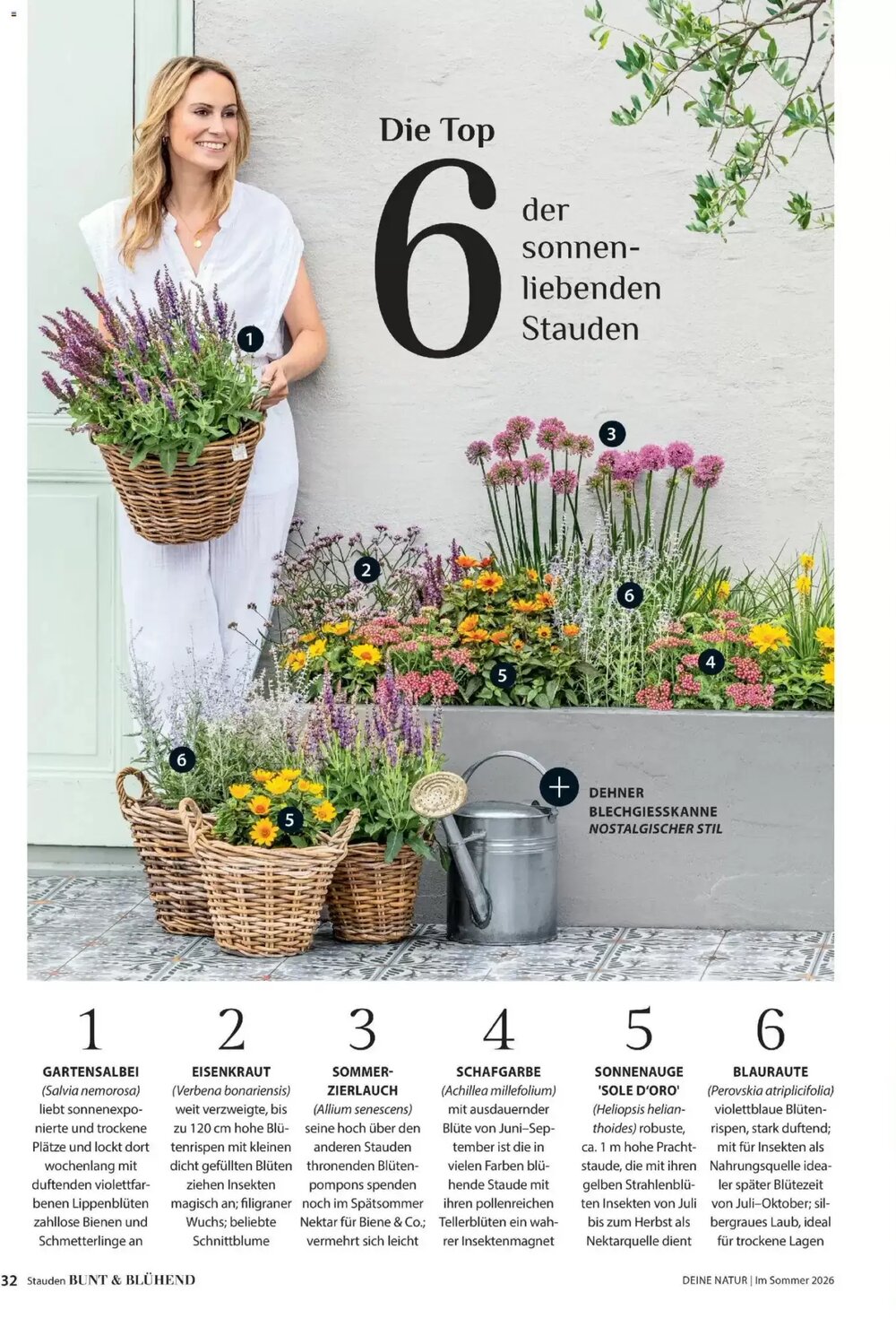 Dehner Flugblatt (ab 01.05.2026) - Angebote und Prospekt - Seite 32