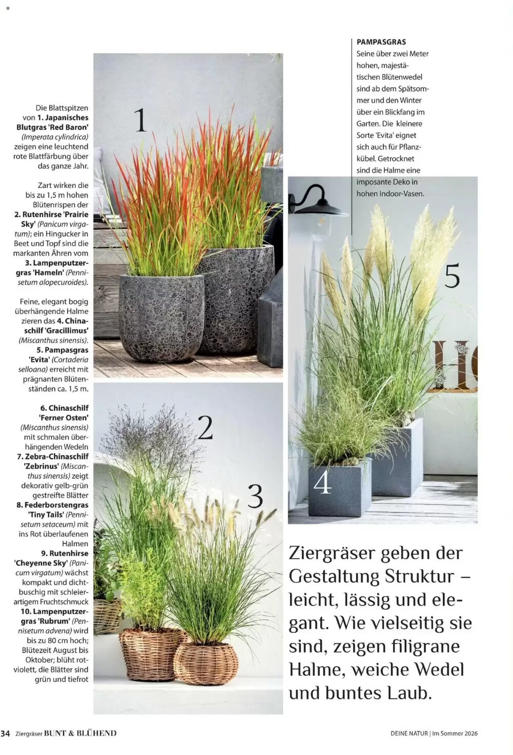 Dehner Flugblatt (ab 01.05.2026) - Angebote und Prospekt - Seite 34