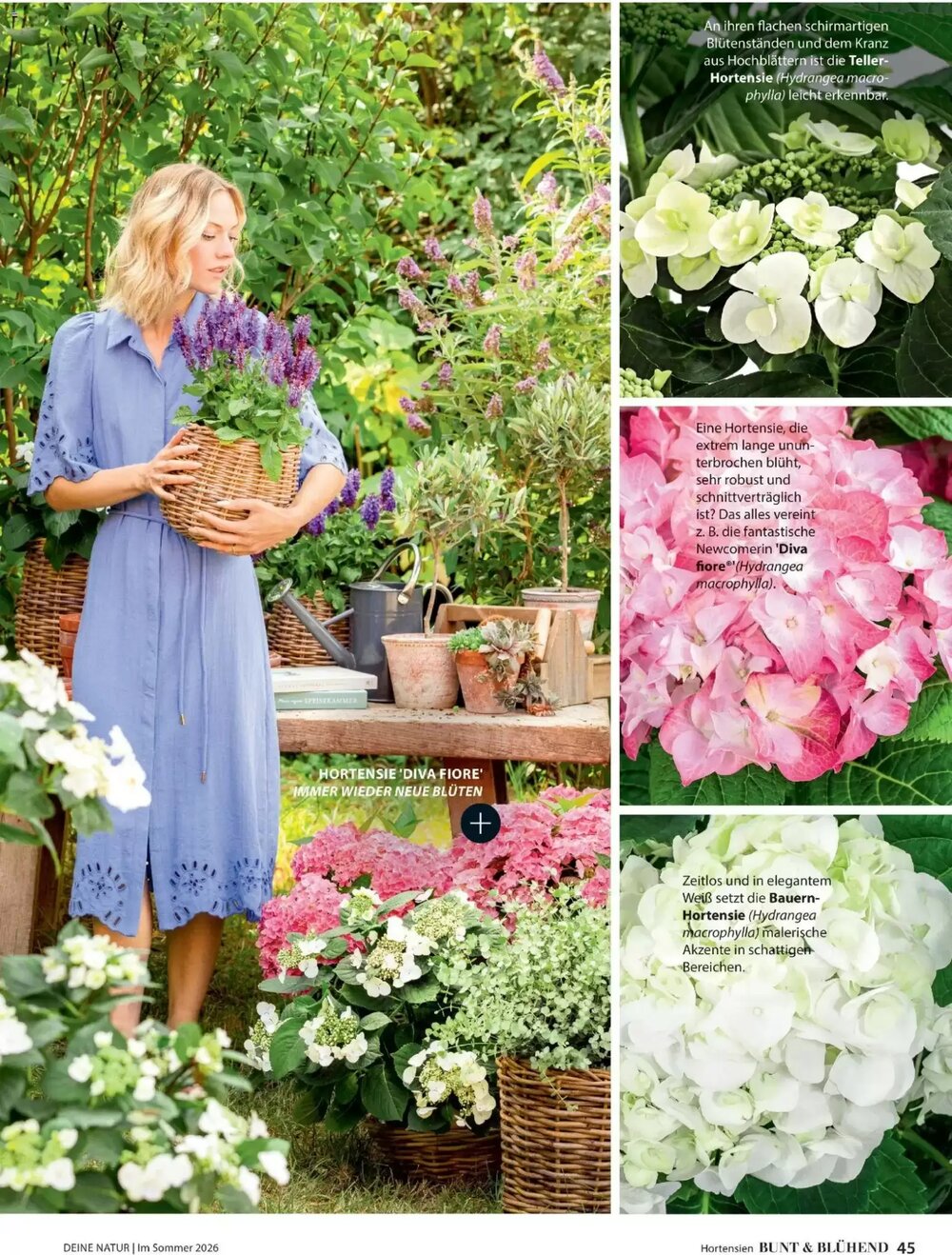 Dehner Flugblatt (ab 01.05.2026) - Angebote und Prospekt - Seite 45