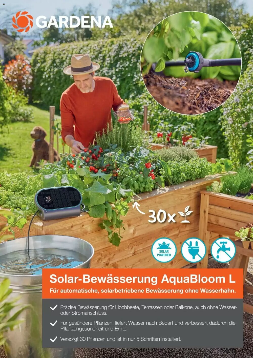 Dehner Flugblatt (ab 01.05.2026) - Angebote und Prospekt - Seite 65