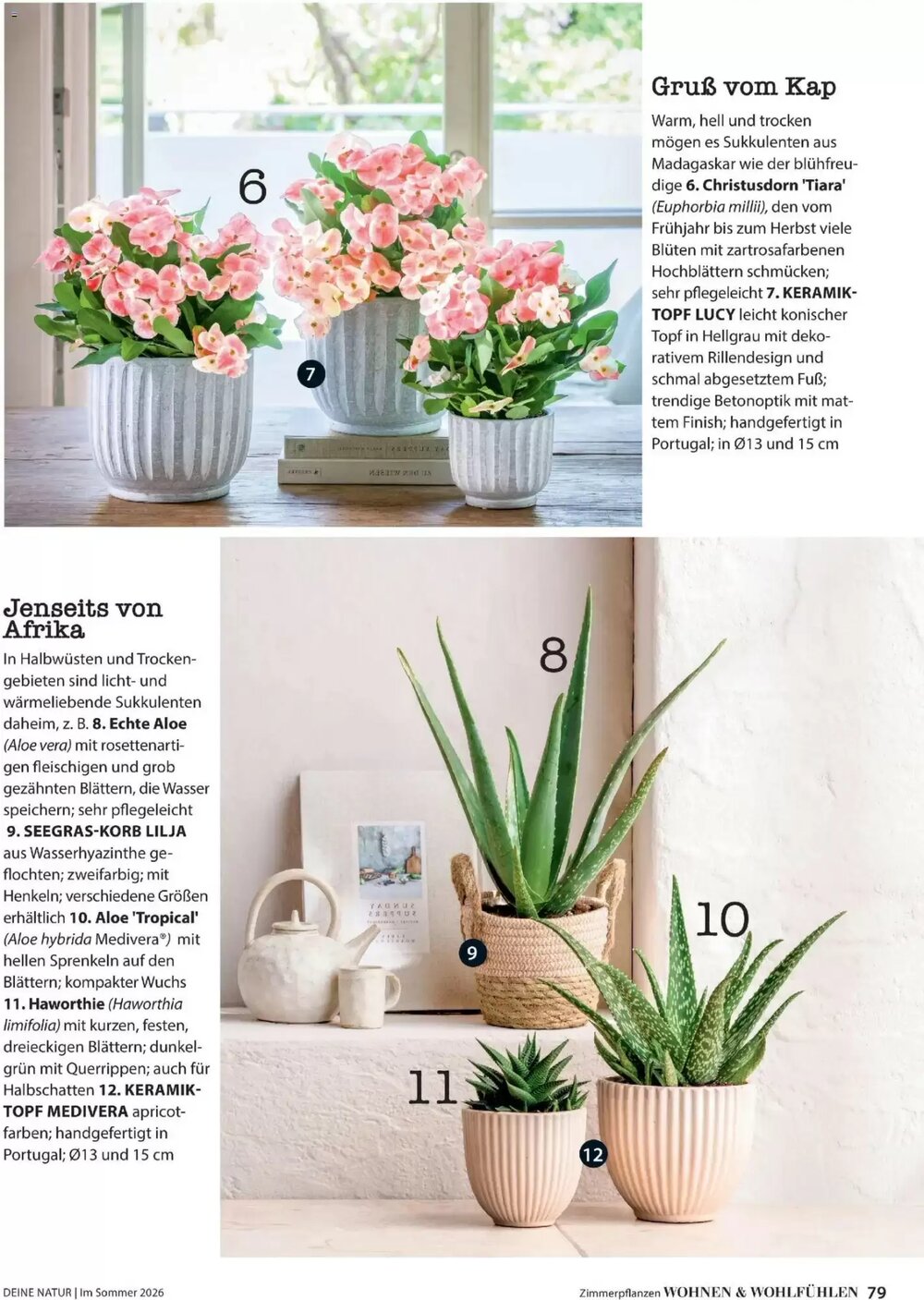 Dehner Flugblatt (ab 01.05.2026) - Angebote und Prospekt - Seite 79