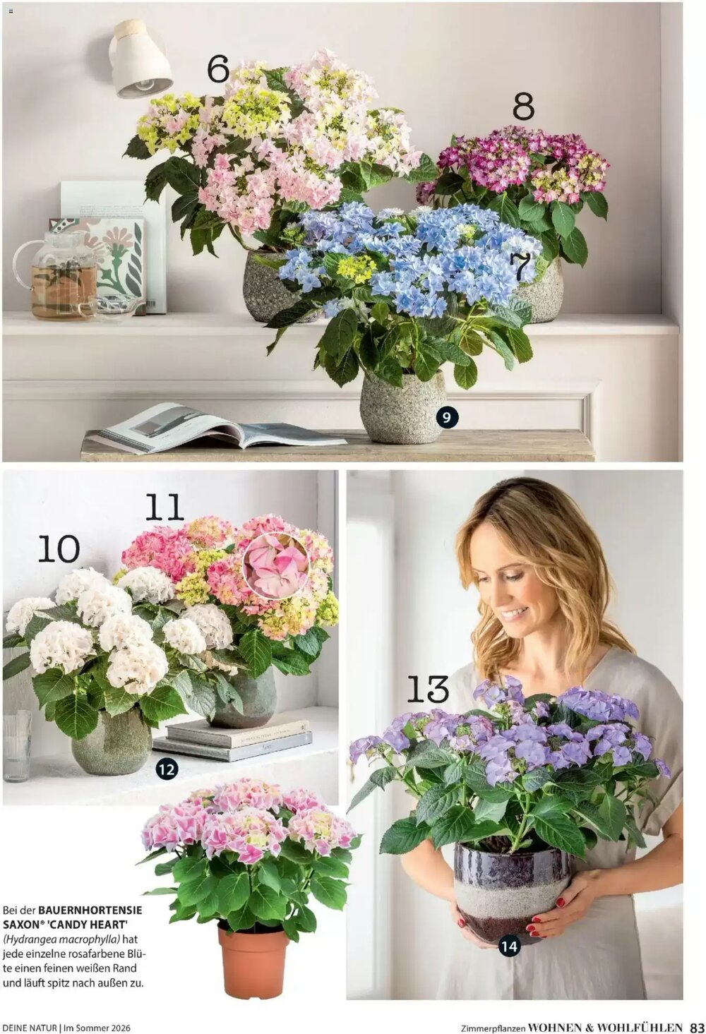 Dehner Flugblatt (ab 01.05.2026) - Angebote und Prospekt - Seite 83