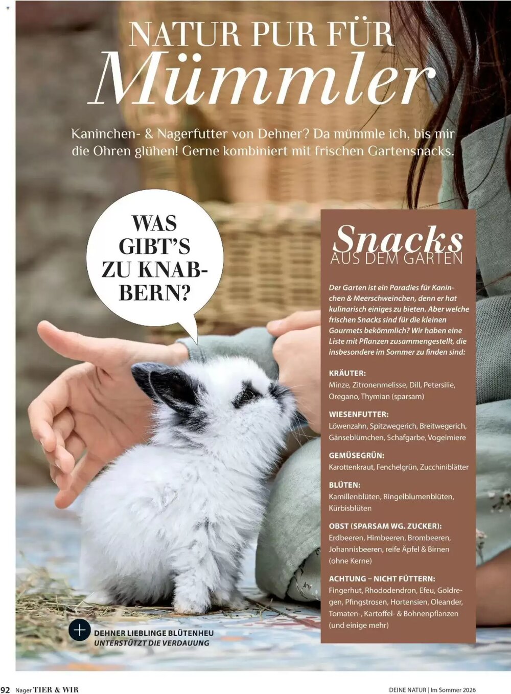 Dehner Flugblatt (ab 01.05.2026) - Angebote und Prospekt - Seite 92