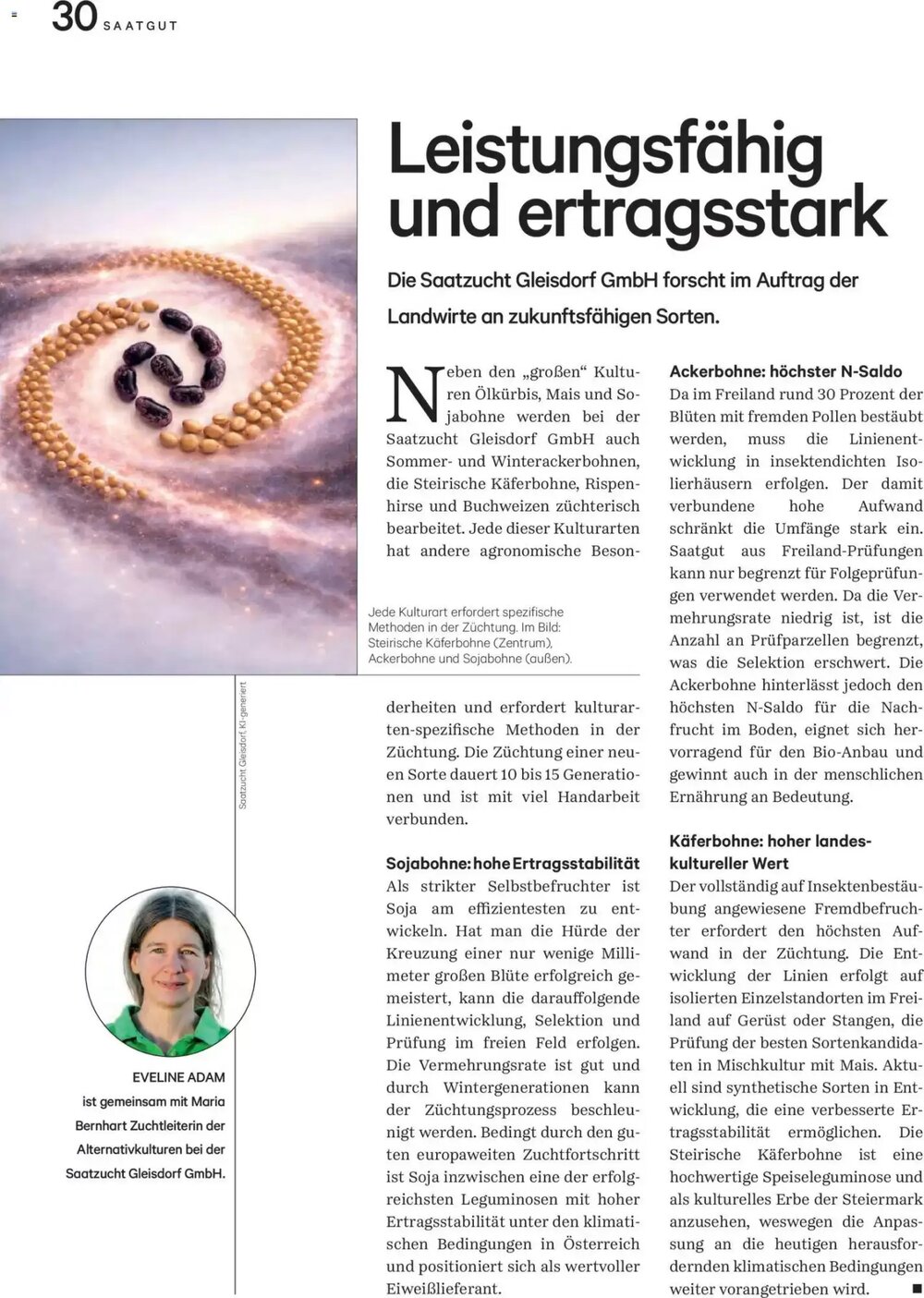 Lagerhaus Flugblatt (ab 01.05.2026) - Angebote und Prospekt - Seite 31