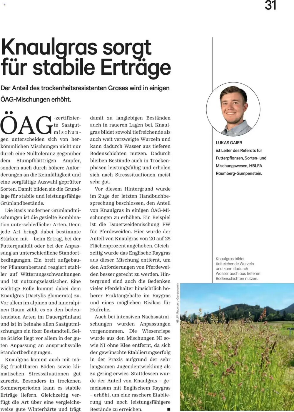 Lagerhaus Flugblatt (ab 01.05.2026) - Angebote und Prospekt - Seite 32