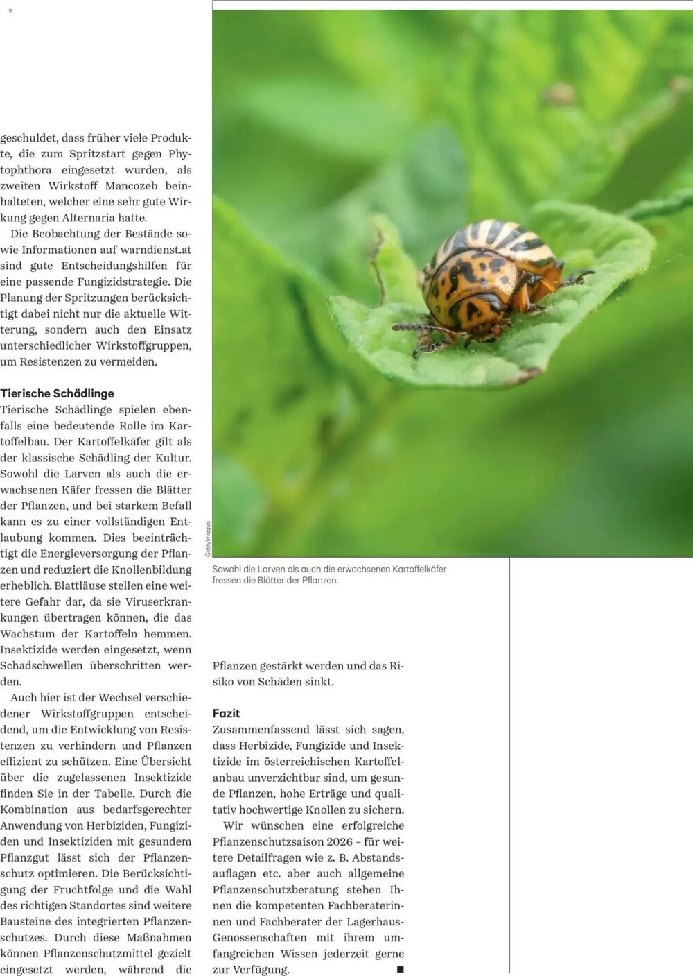 Lagerhaus Flugblatt (ab 01.05.2026) - Angebote und Prospekt - Seite 38