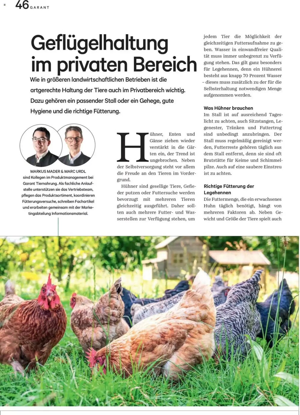 Lagerhaus Flugblatt (ab 01.05.2026) - Angebote und Prospekt - Seite 47