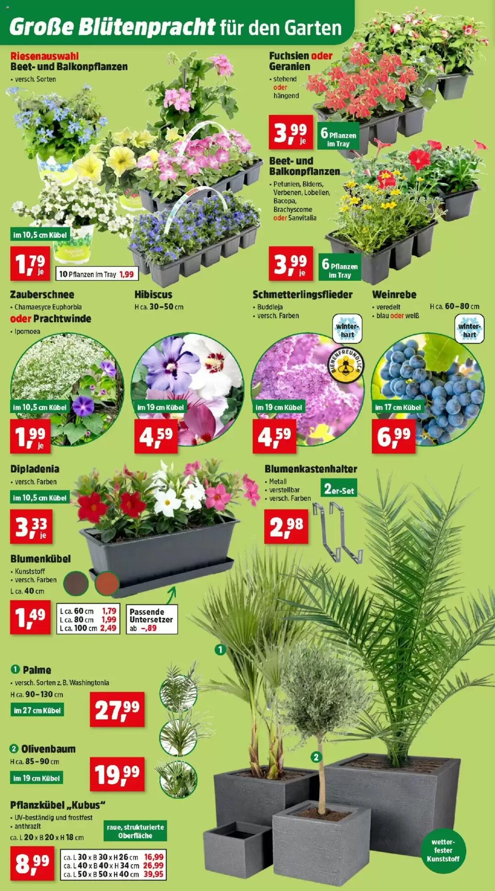 Thomas Philipps Flugblatt (ab 04.05.2026) - Angebote und Prospekt - Seite 6