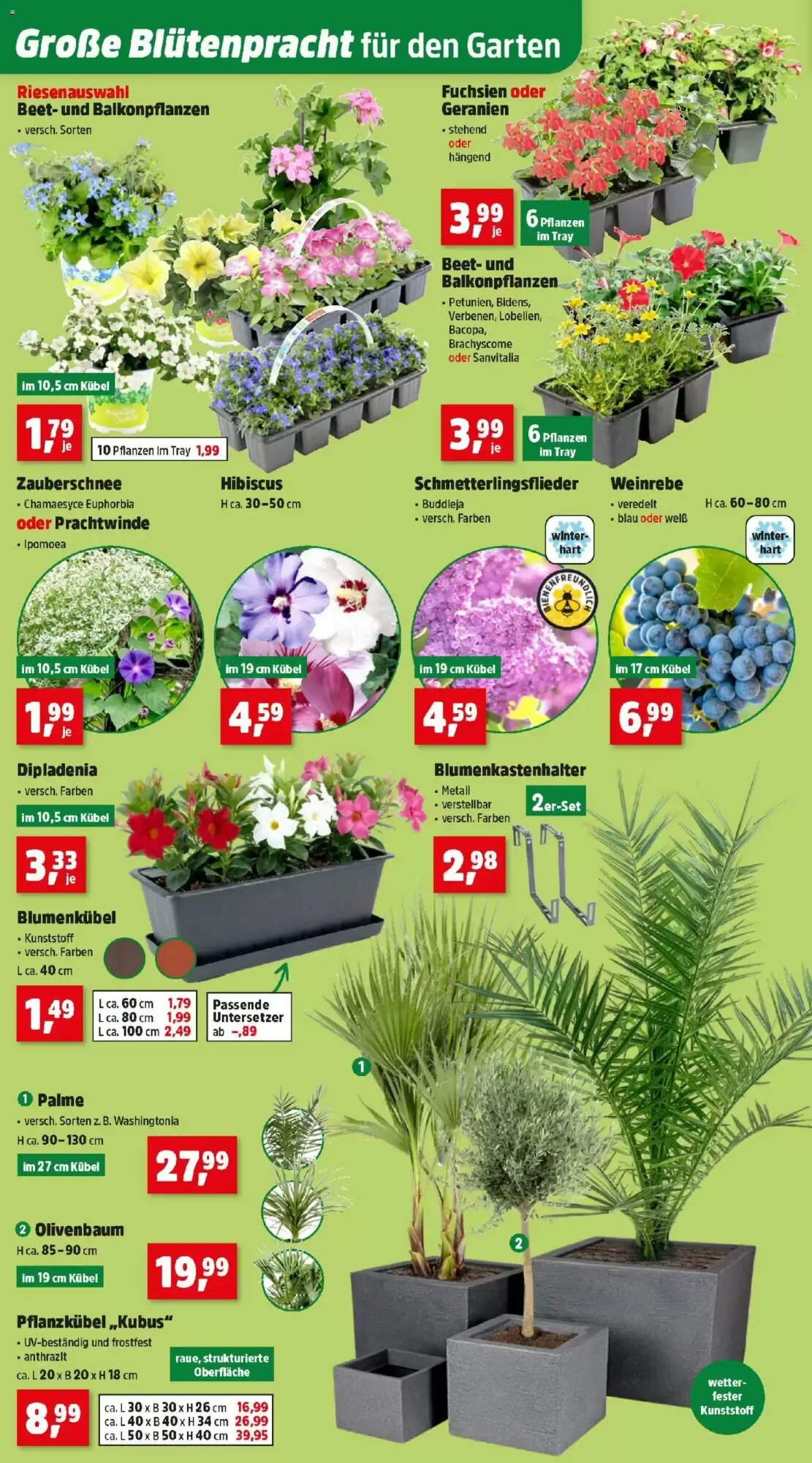 Thomas Philipps Flugblatt (ab 04.05.2026) - Angebote und Prospekt - Seite 6
