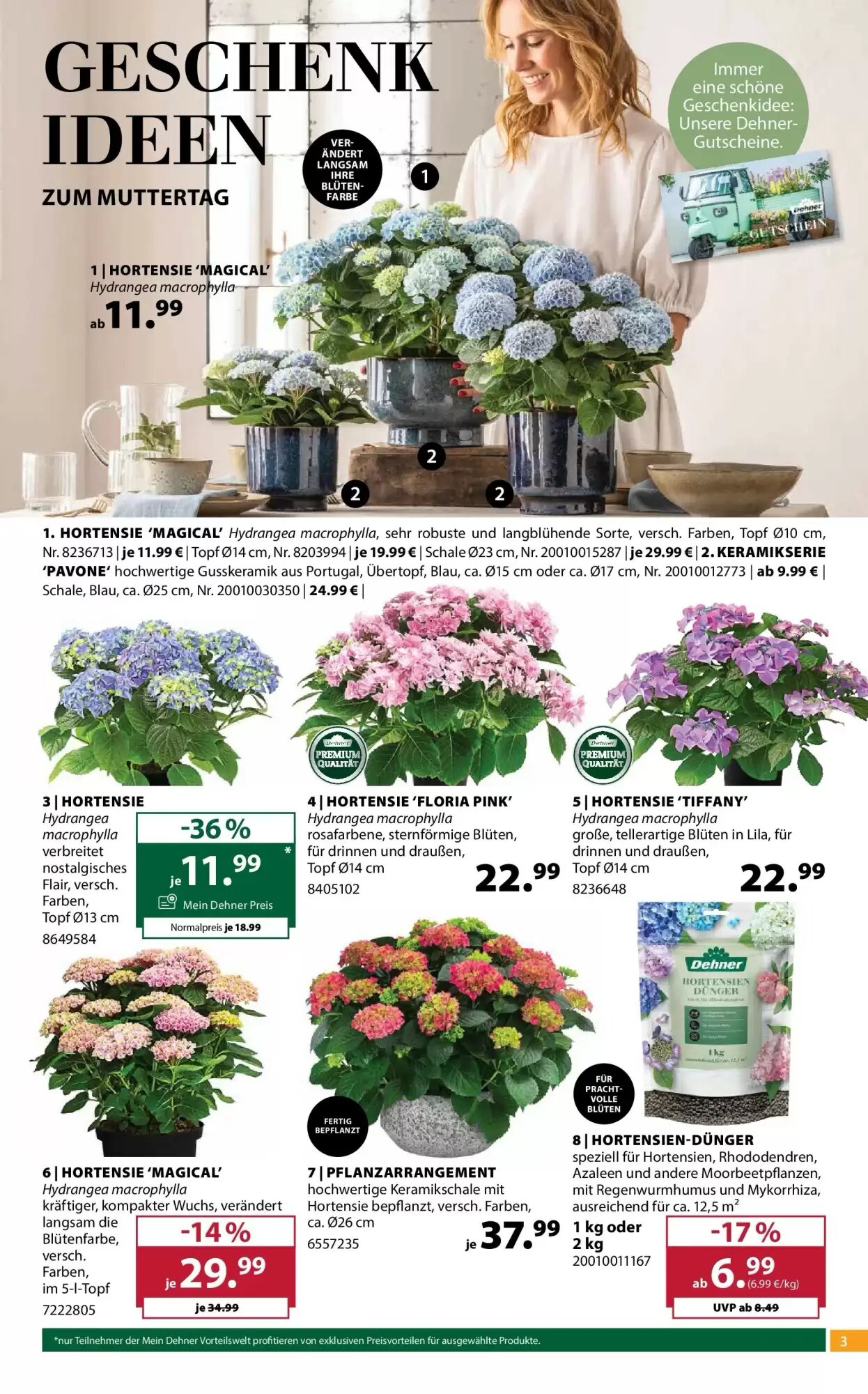 Dehner Flugblatt (ab 06.05.2026) - Angebote und Prospekt - Seite 3