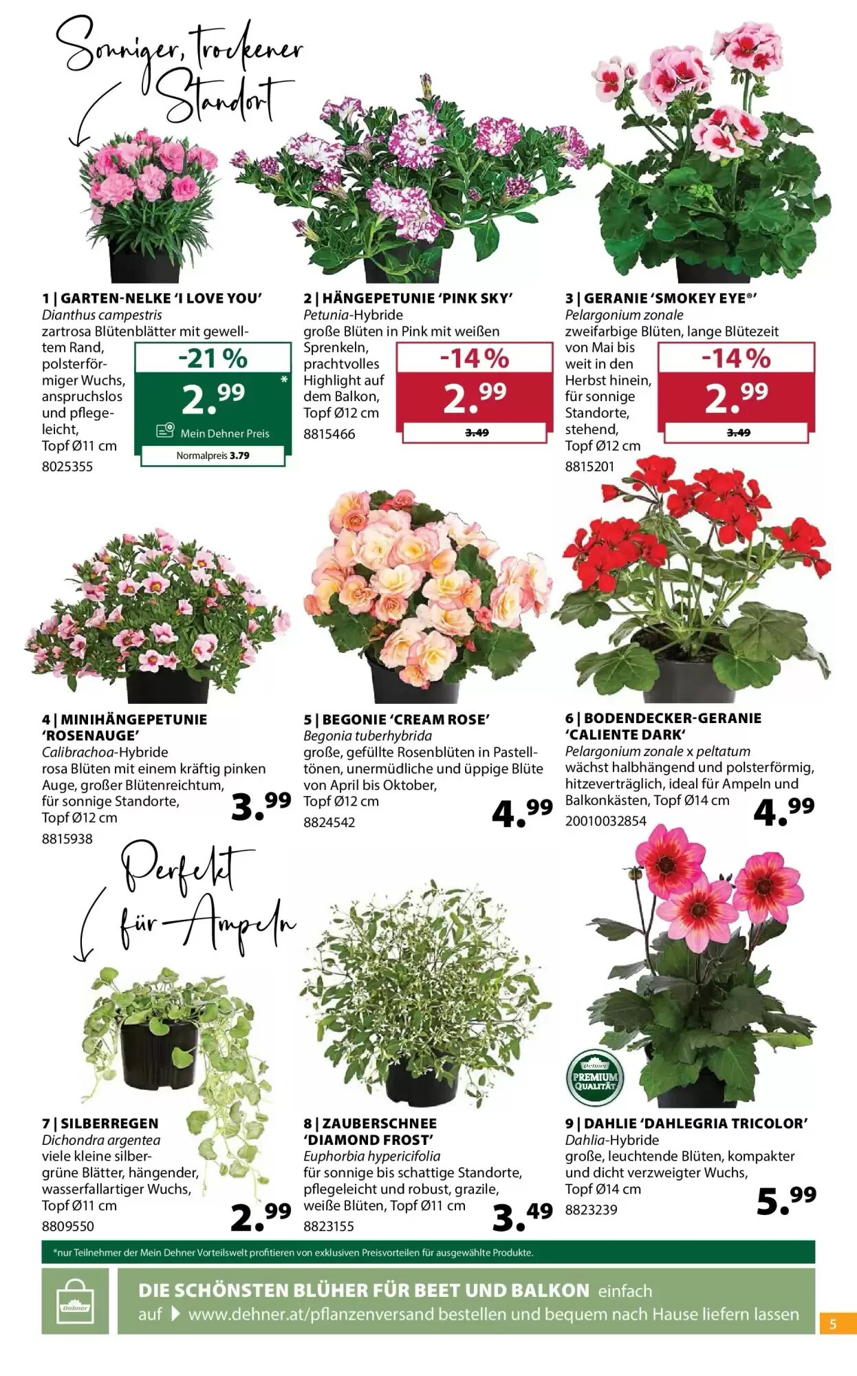 Dehner Flugblatt (ab 06.05.2026) - Angebote und Prospekt - Seite 5