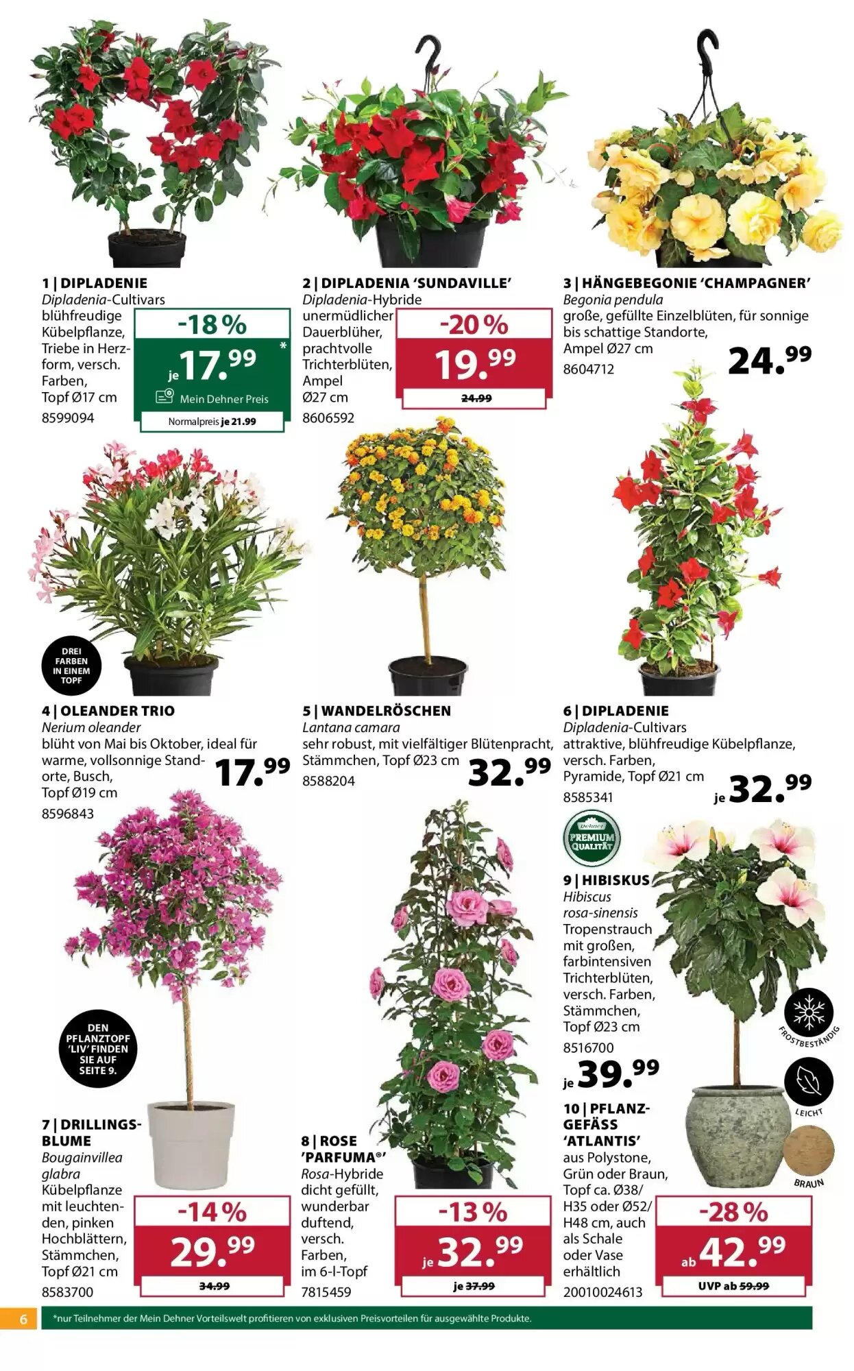 Dehner Flugblatt (ab 06.05.2026) - Angebote und Prospekt - Seite 6