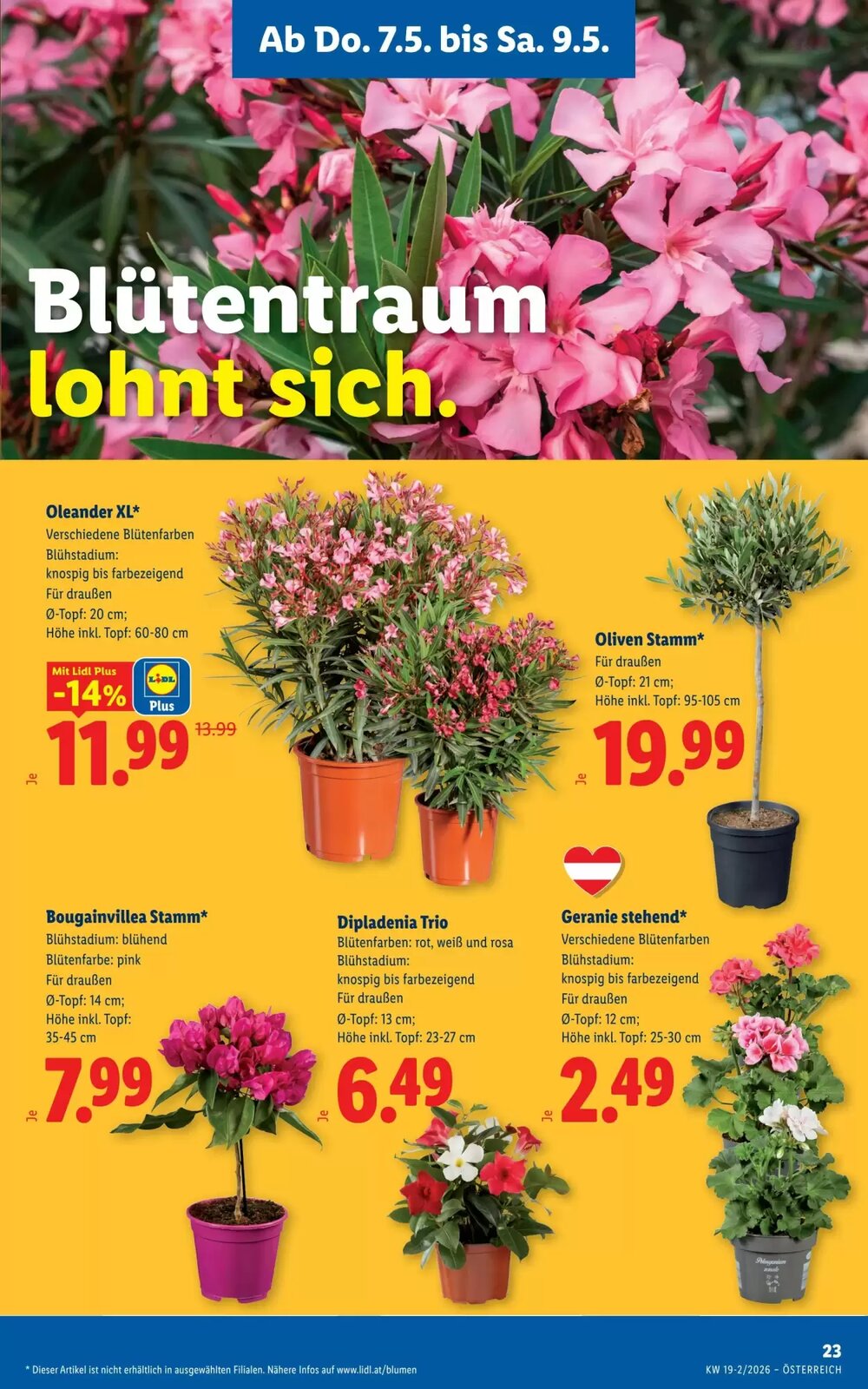 Lidl Flugblatt (ab 07.05.2026) - Angebote und Prospekt - Seite 25