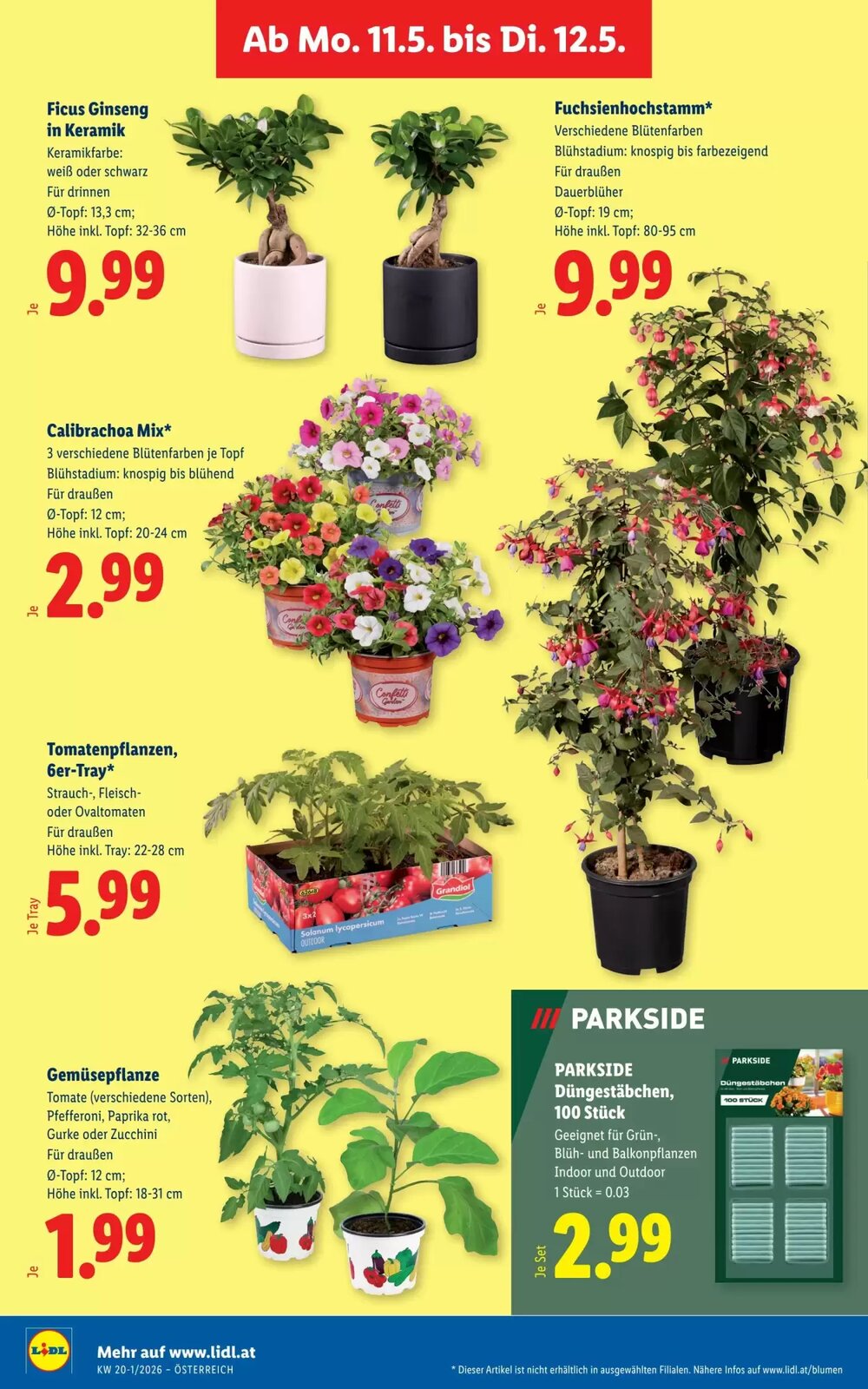 Lidl Flugblatt (ab 07.05.2026) - Angebote und Prospekt - Seite 31