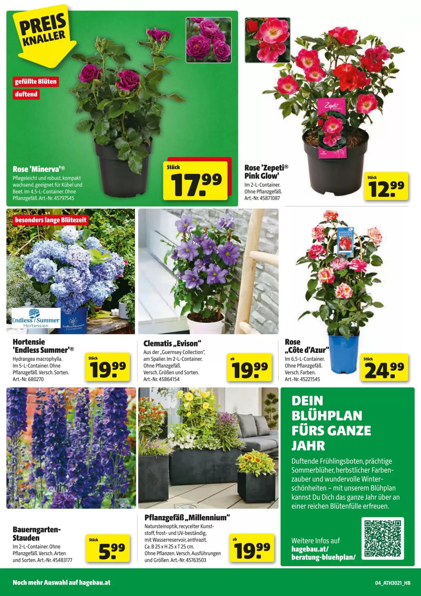  Flugblatt (ab 07.05.2026) - Angebote und Prospekt - Seite 4