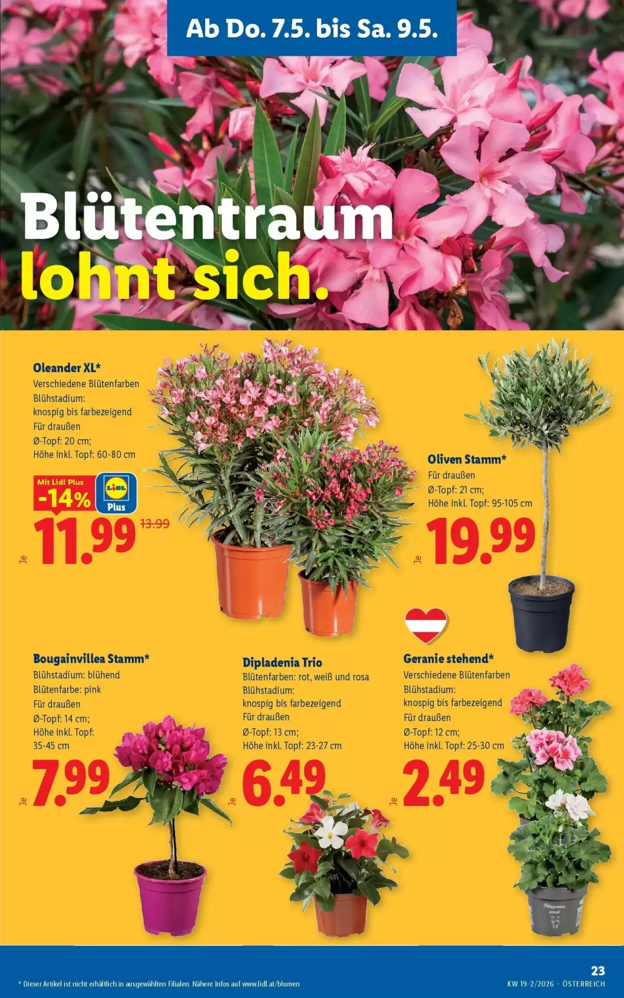 Lidl Flugblatt (ab 07.05.2026) - Angebote und Prospekt - Seite 25