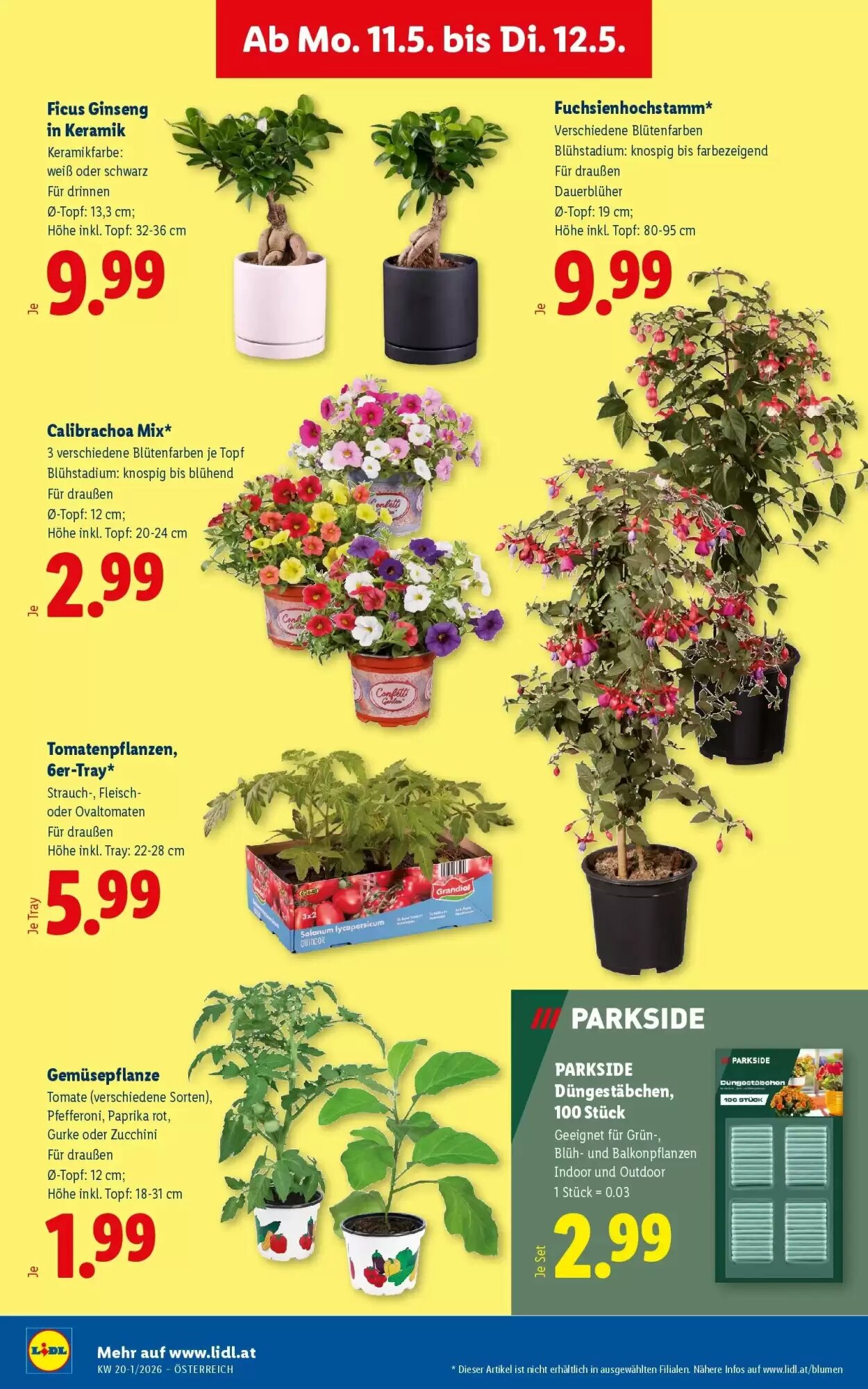 Lidl Flugblatt (ab 07.05.2026) - Angebote und Prospekt - Seite 31