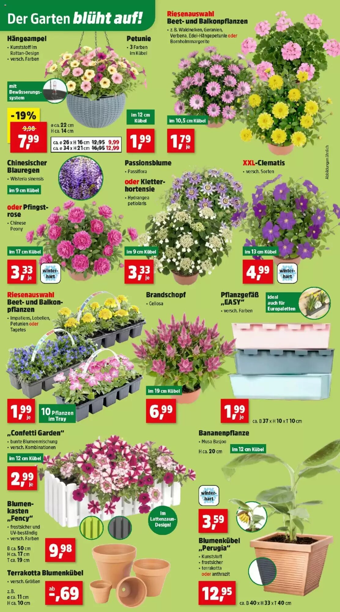 Thomas Philipps Flugblatt (ab 11.05.2026) - Angebote und Prospekt - Seite 2