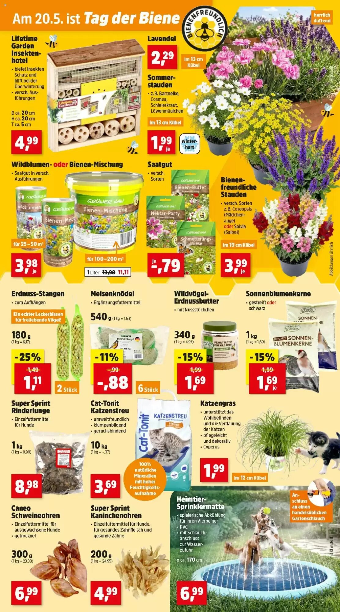 Thomas Philipps Flugblatt (ab 11.05.2026) - Angebote und Prospekt - Seite 7