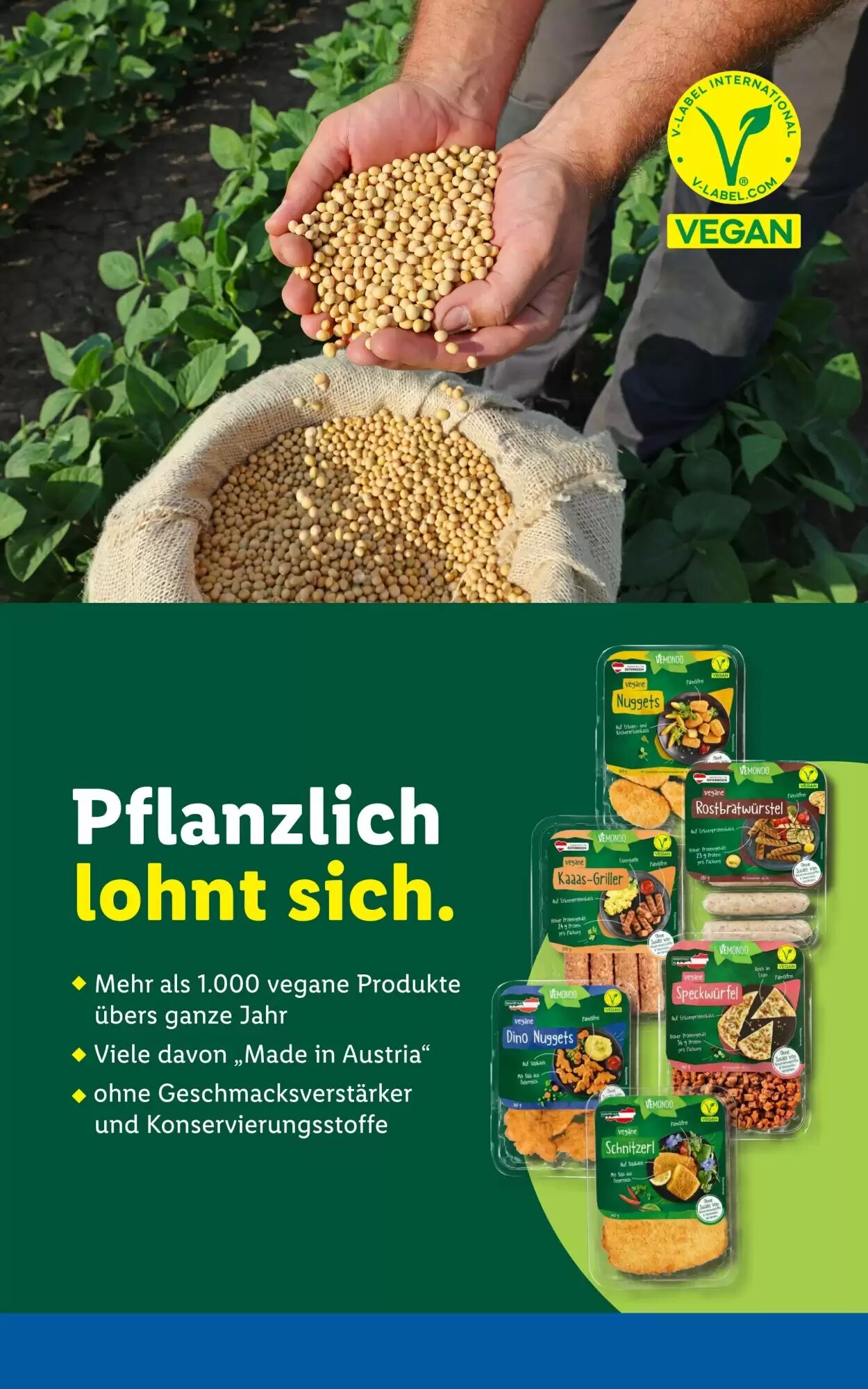 Lidl Flugblatt (ab 14.05.2026) - Angebote und Prospekt - Seite 48