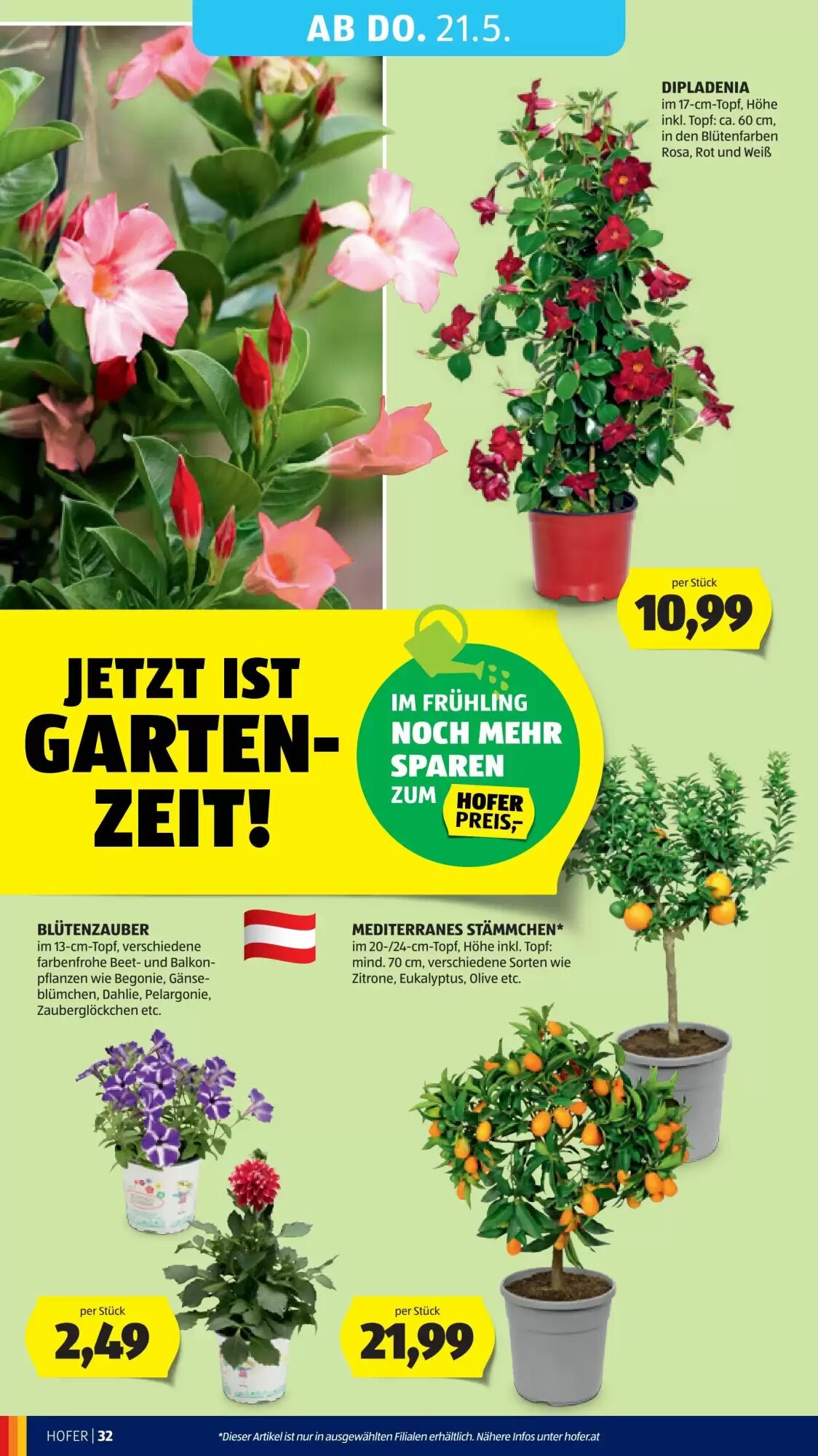 Hofer Flugblatt (ab 15.05.2026) - Angebote und Prospekt - Seite 38