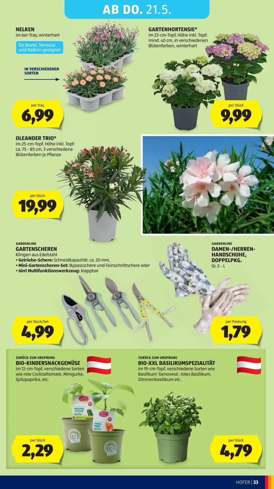 Hofer Flugblatt (ab 15.05.2026) - Angebote und Prospekt - Seite 39