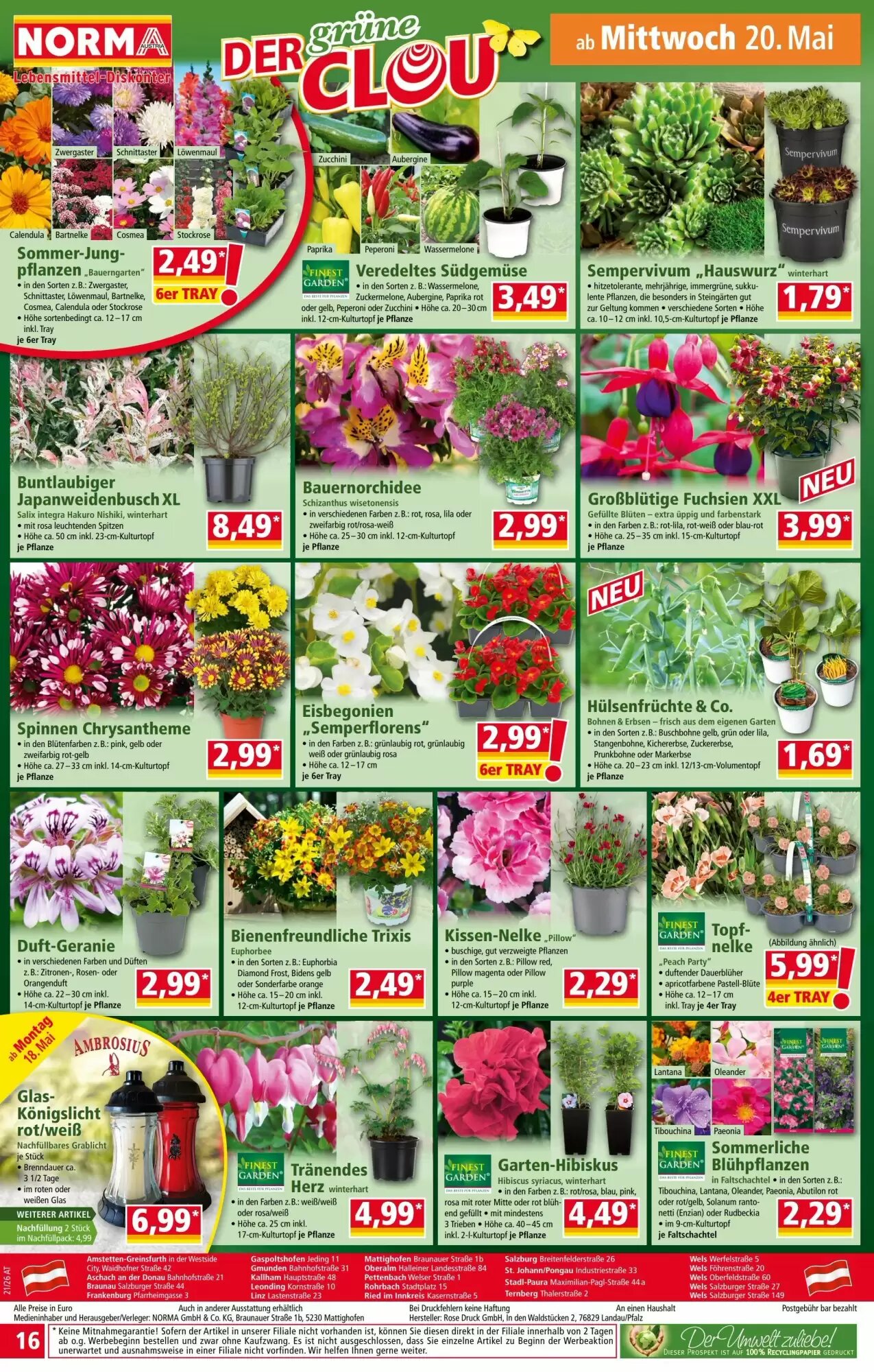 Norma Flugblatt (ab 18.05.2026) - Angebote und Prospekt - Seite 16