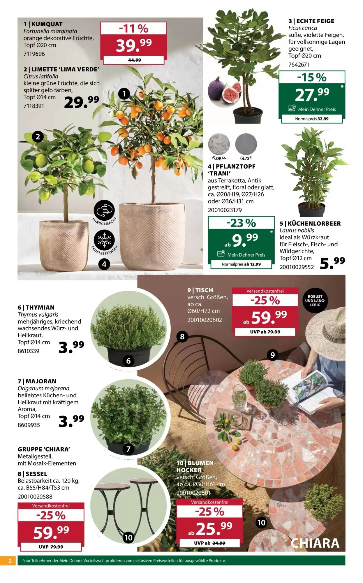Dehner Flugblatt (ab 19.05.2026) - Angebote und Prospekt - Seite 2