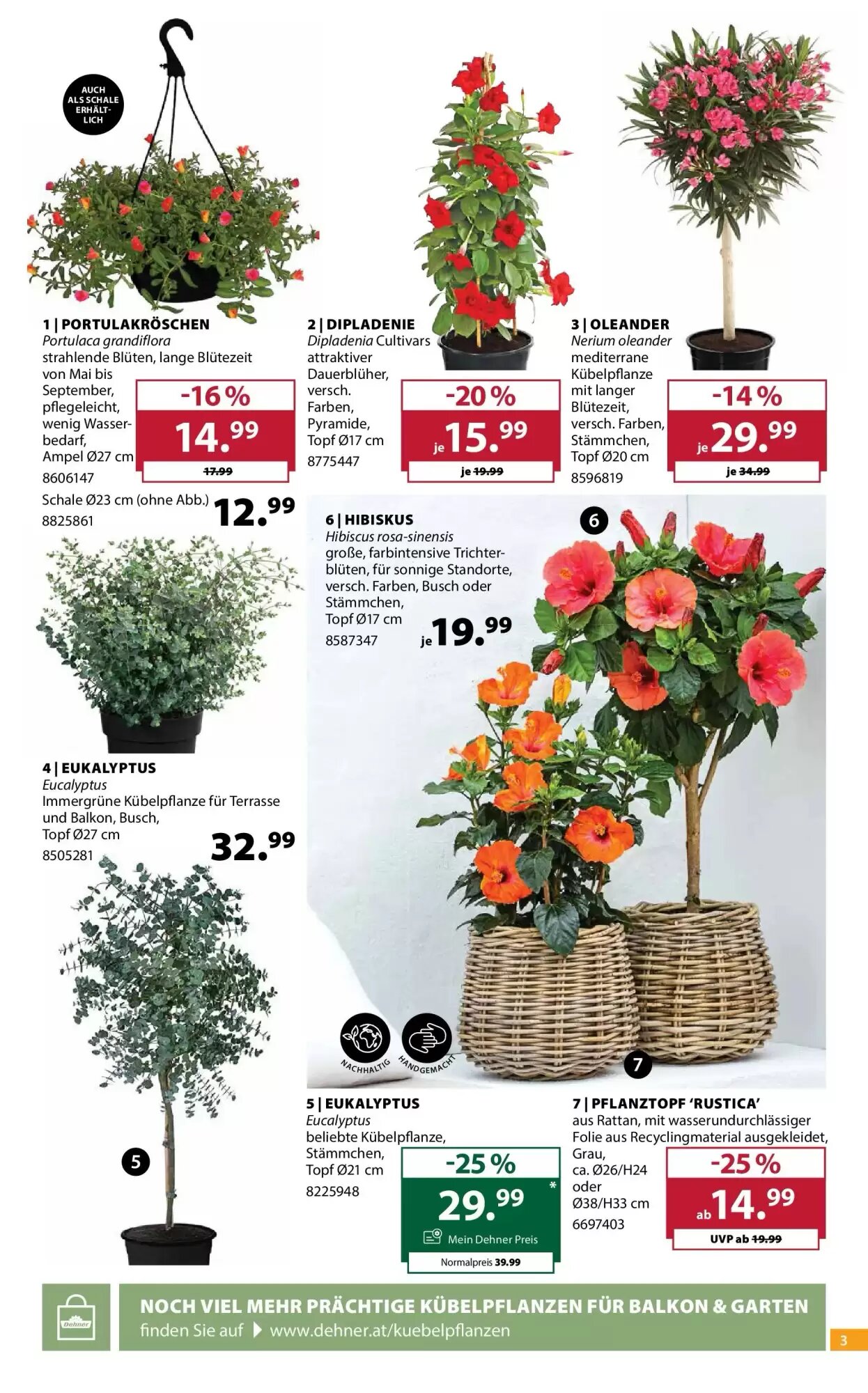 Dehner Flugblatt (ab 19.05.2026) - Angebote und Prospekt - Seite 3