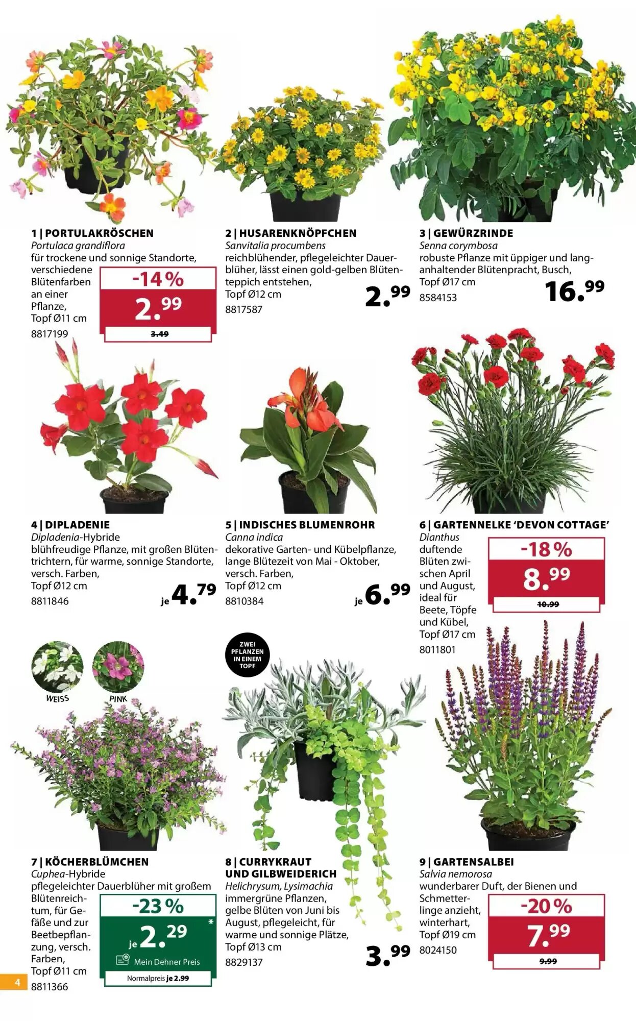 Dehner Flugblatt (ab 19.05.2026) - Angebote und Prospekt - Seite 4