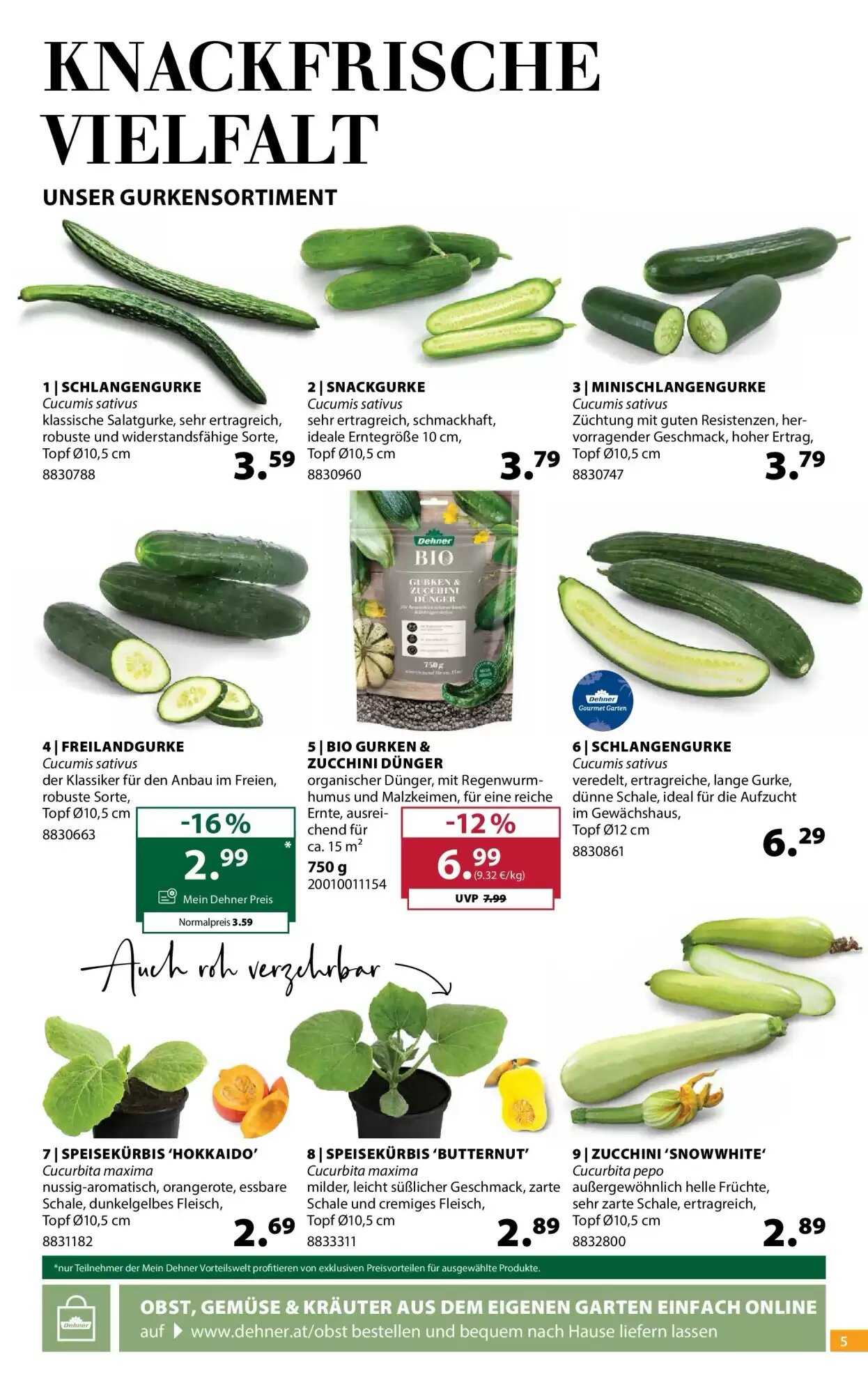 Dehner Flugblatt (ab 19.05.2026) - Angebote und Prospekt - Seite 5
