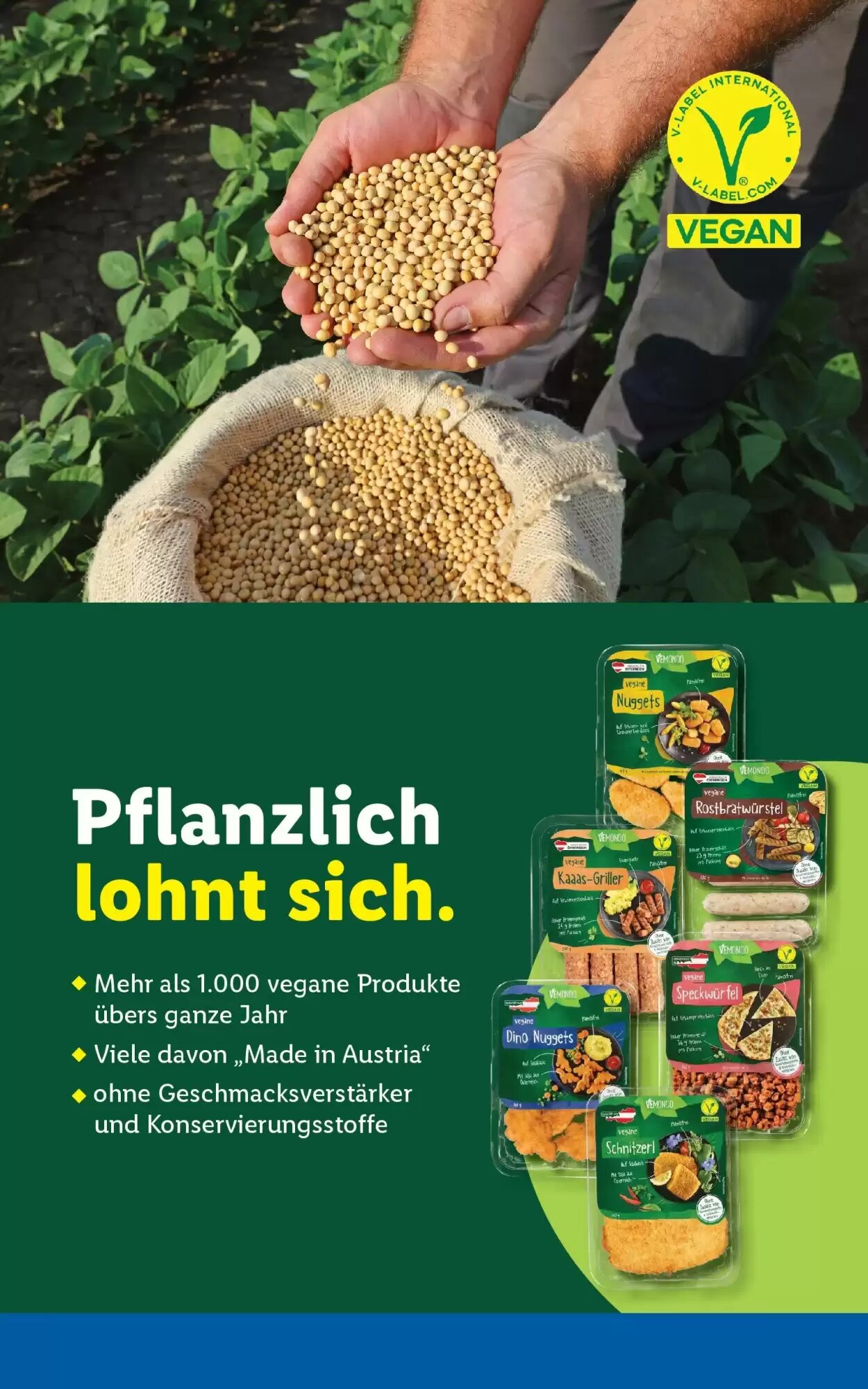 Lidl Flugblatt (ab 21.05.2026) - Angebote und Prospekt - Seite 50