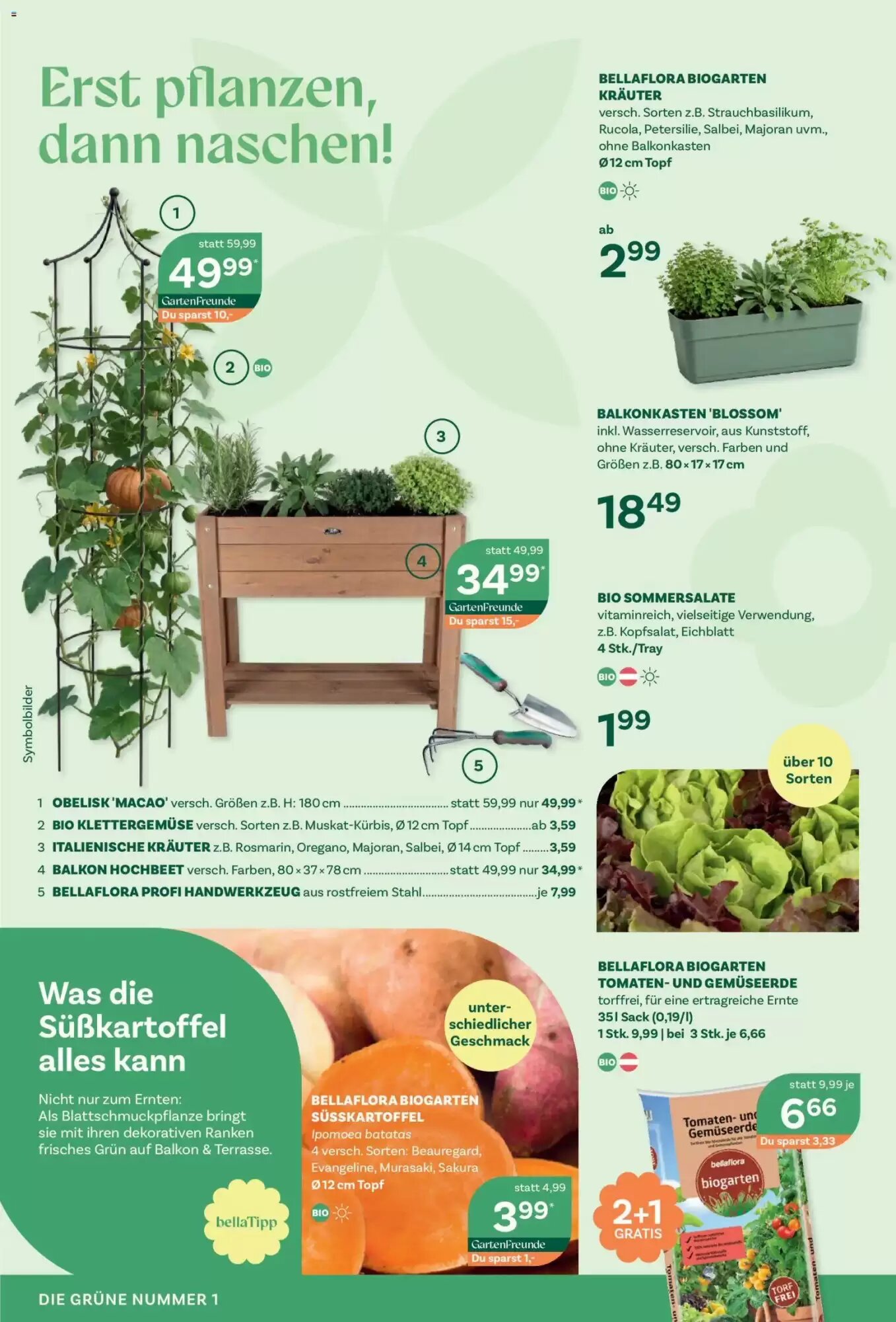 Bellaflora Flugblatt (ab 21.05.2026) - Angebote und Prospekt - Seite 6