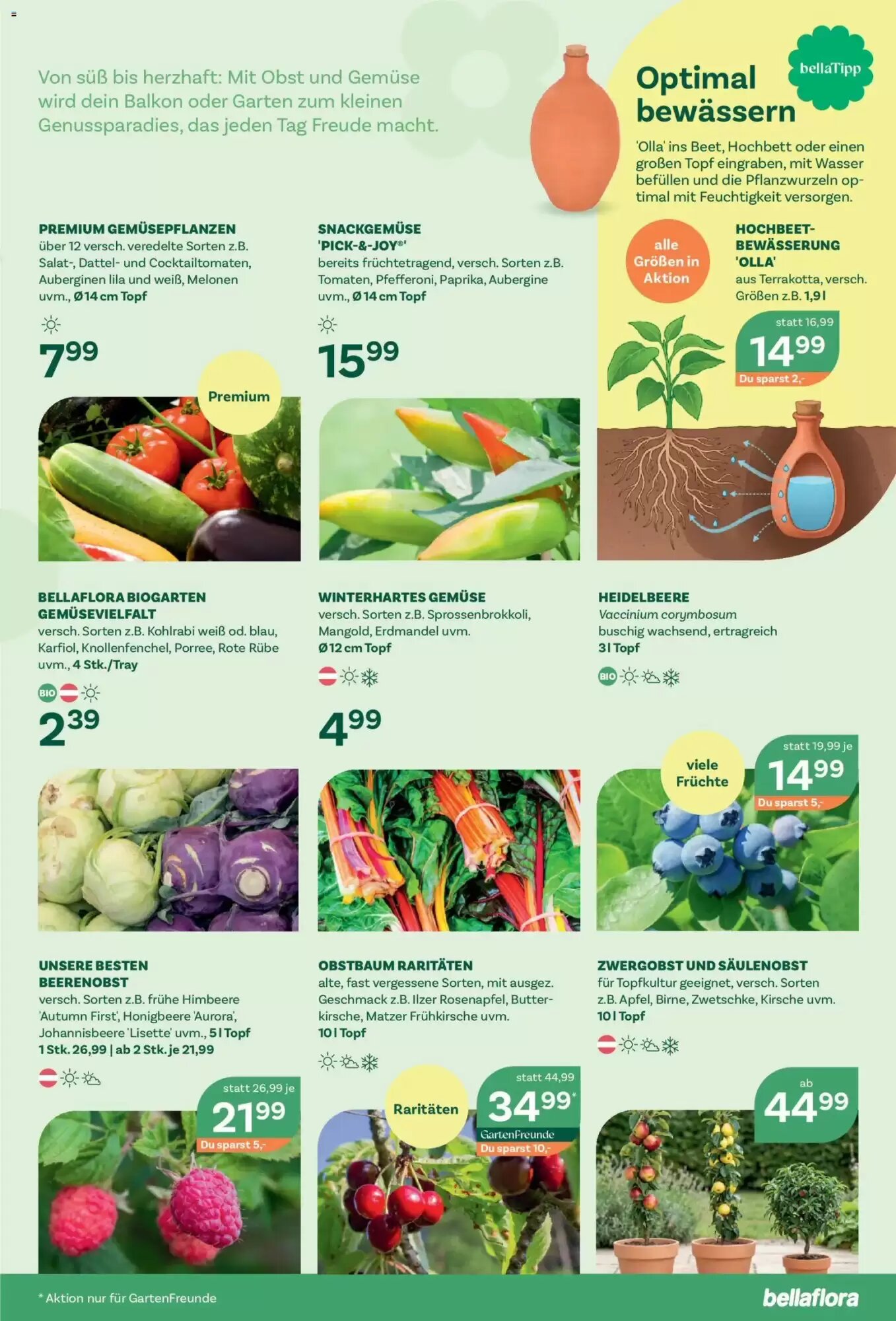 Bellaflora Flugblatt (ab 21.05.2026) - Angebote und Prospekt - Seite 7