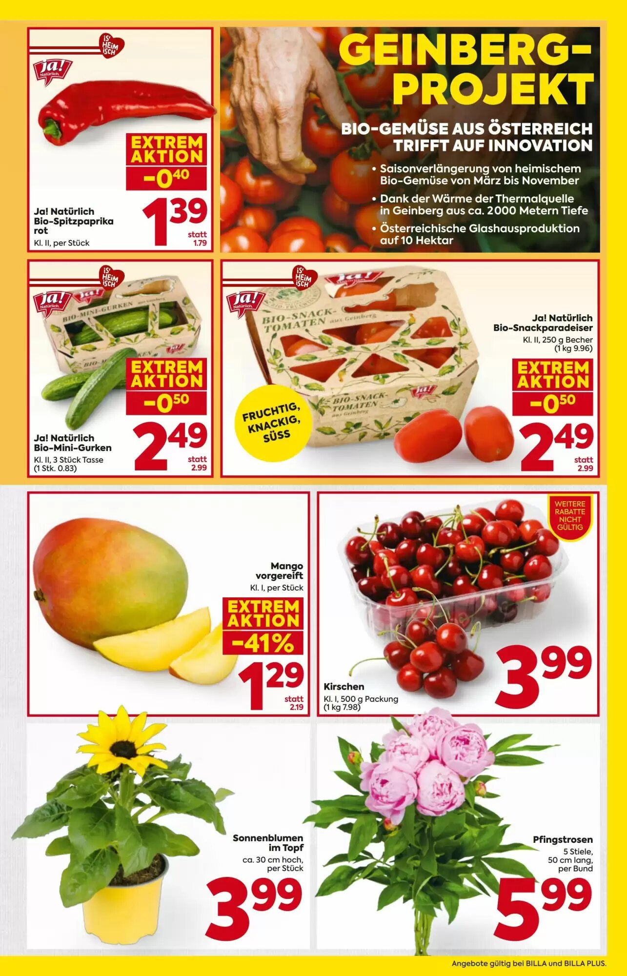 Billa Flugblatt (ab 21.05.2026) - Angebote und Prospekt - Seite 5