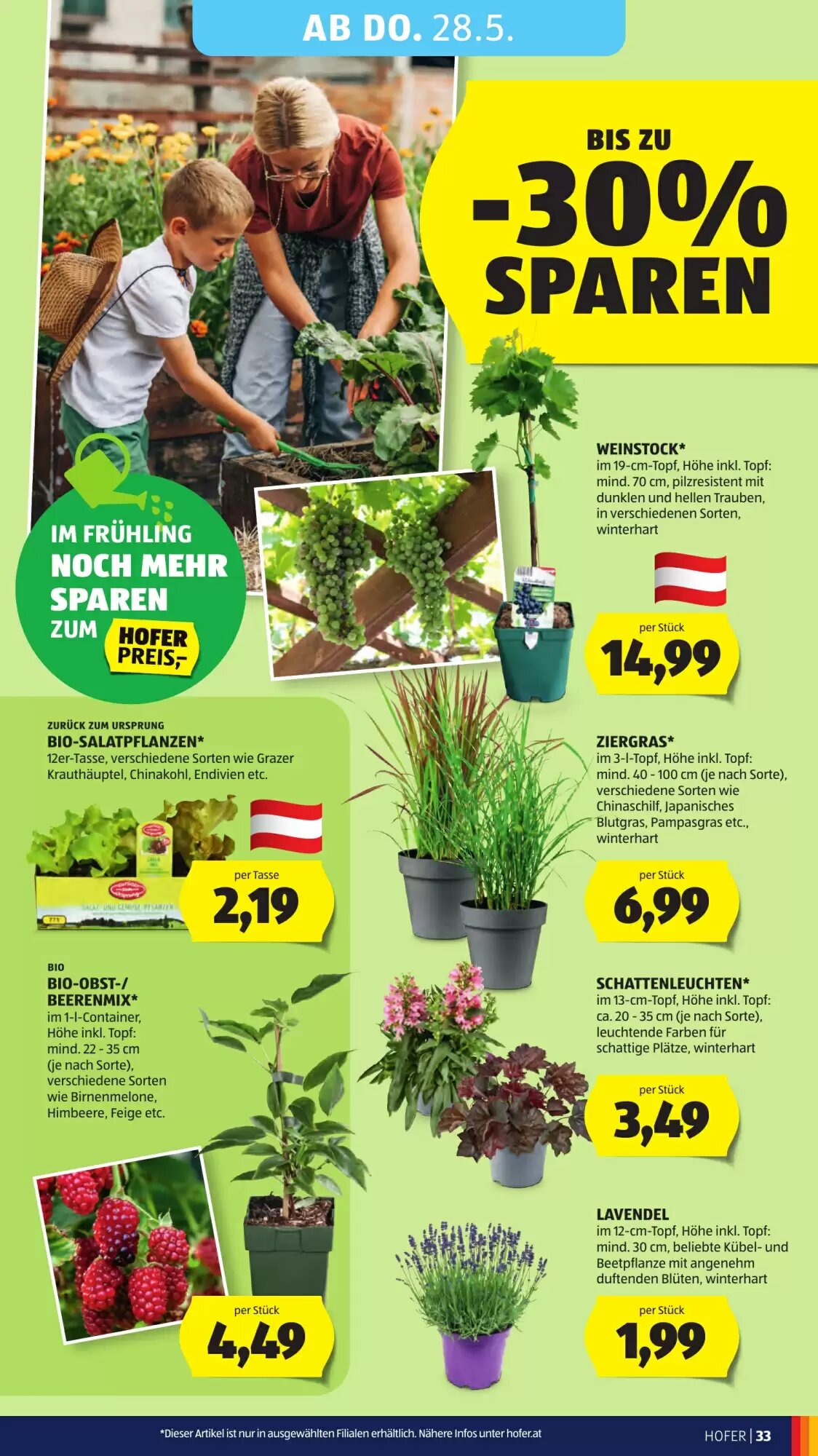 Hofer Flugblatt (ab 22.05.2026) - Angebote und Prospekt - Seite 39