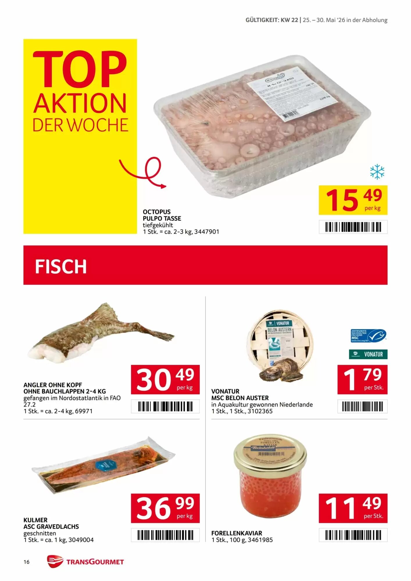 Transgourmet Flugblatt (ab 25.05.2026) - Angebote und Prospekt - Seite 16