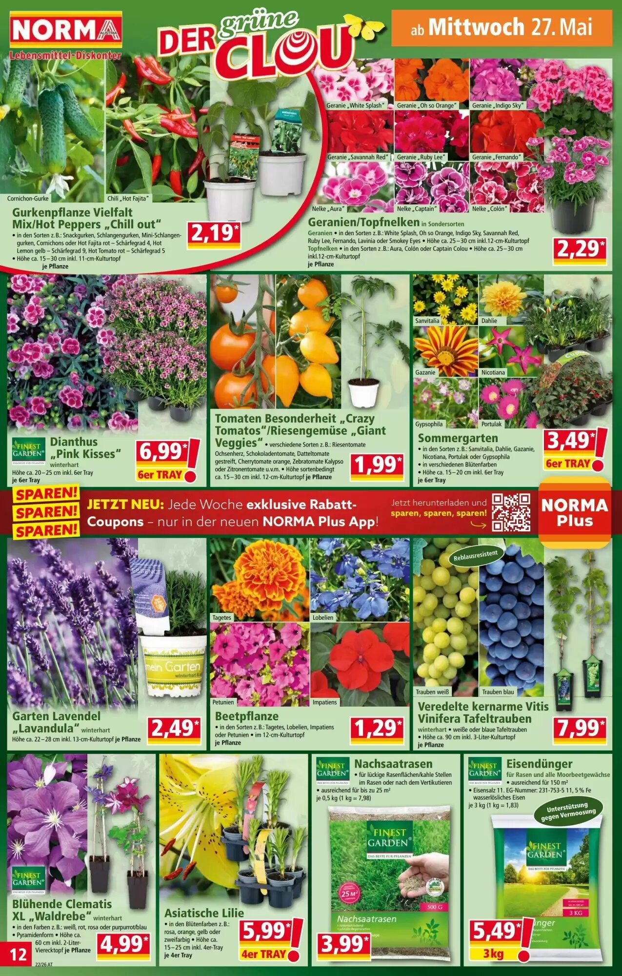 Norma Flugblatt (ab 26.05.2026) - Angebote und Prospekt - Seite 12