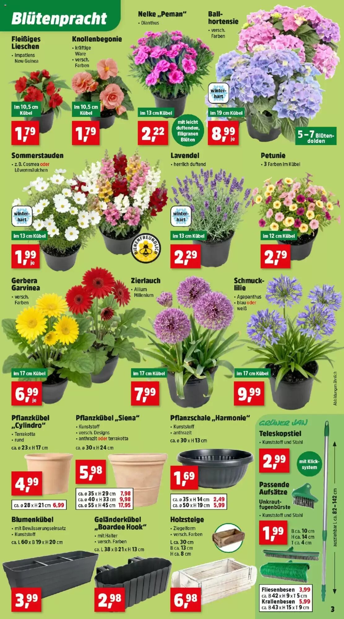 Thomas Philipps Flugblatt (ab 26.05.2026) - Angebote und Prospekt - Seite 5