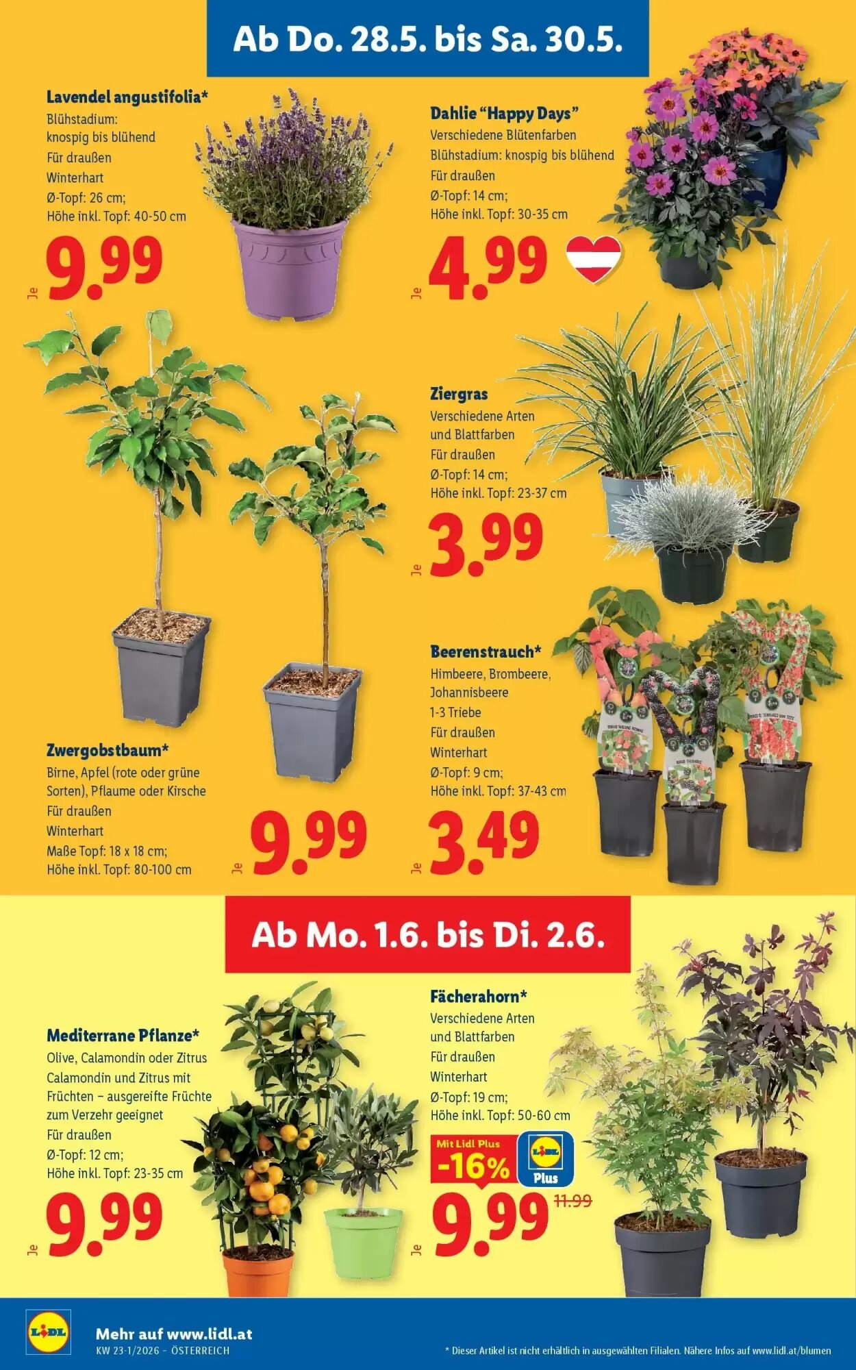 Lidl Flugblatt (ab 28.05.2026) - Angebote und Prospekt - Seite 28