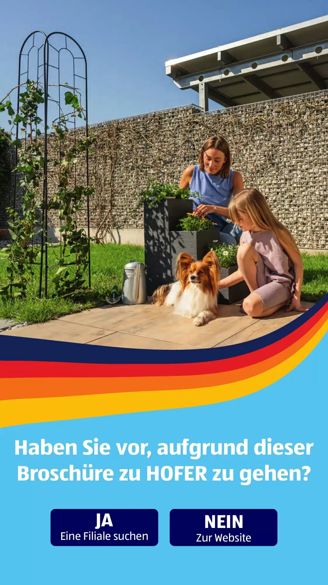 Hofer Flugblatt (ab 29.05.2026) - Angebote und Prospekt - Seite 43