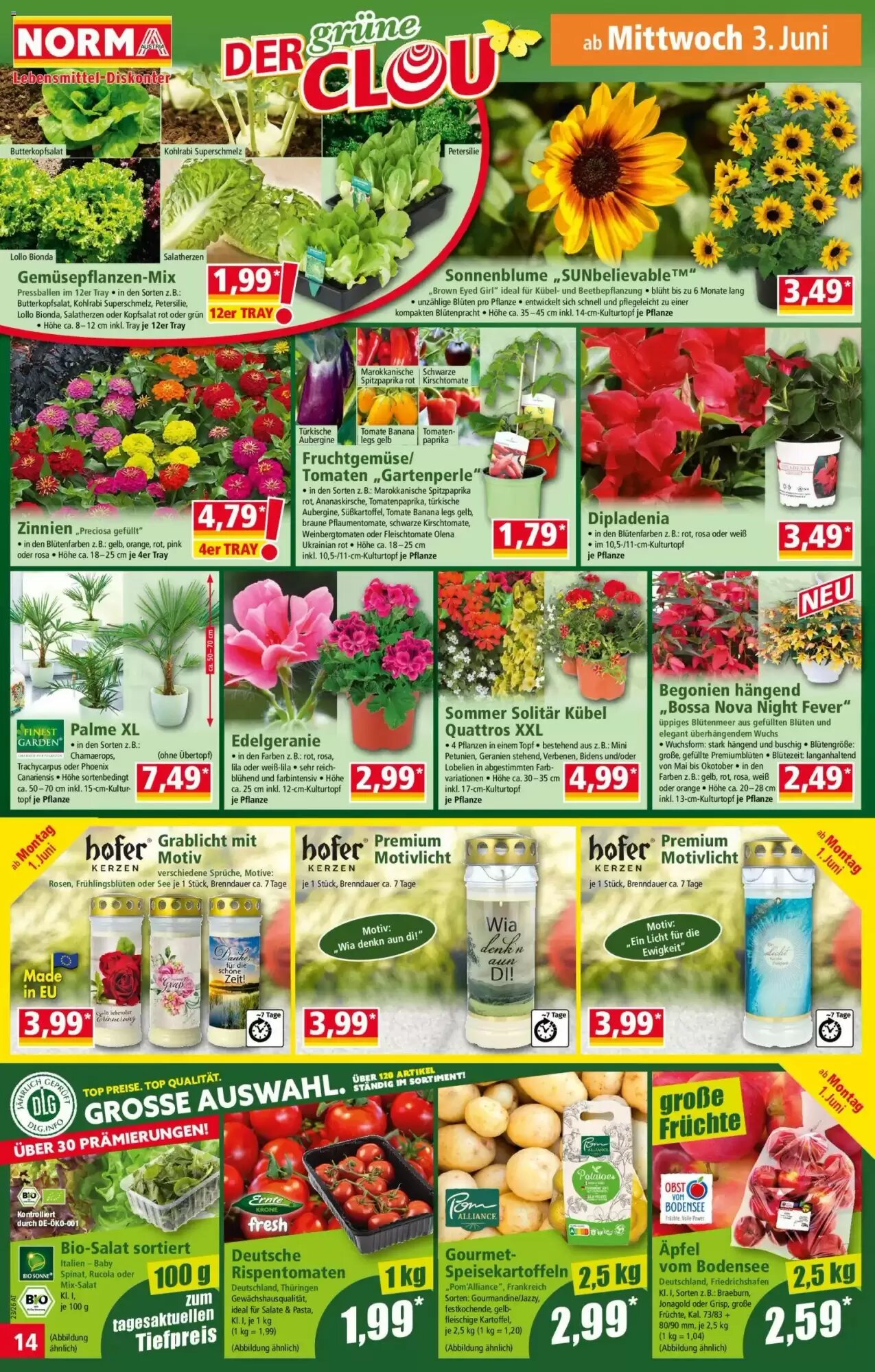 Norma Flugblatt (ab 01.06.2026) - Angebote und Prospekt - Seite 14