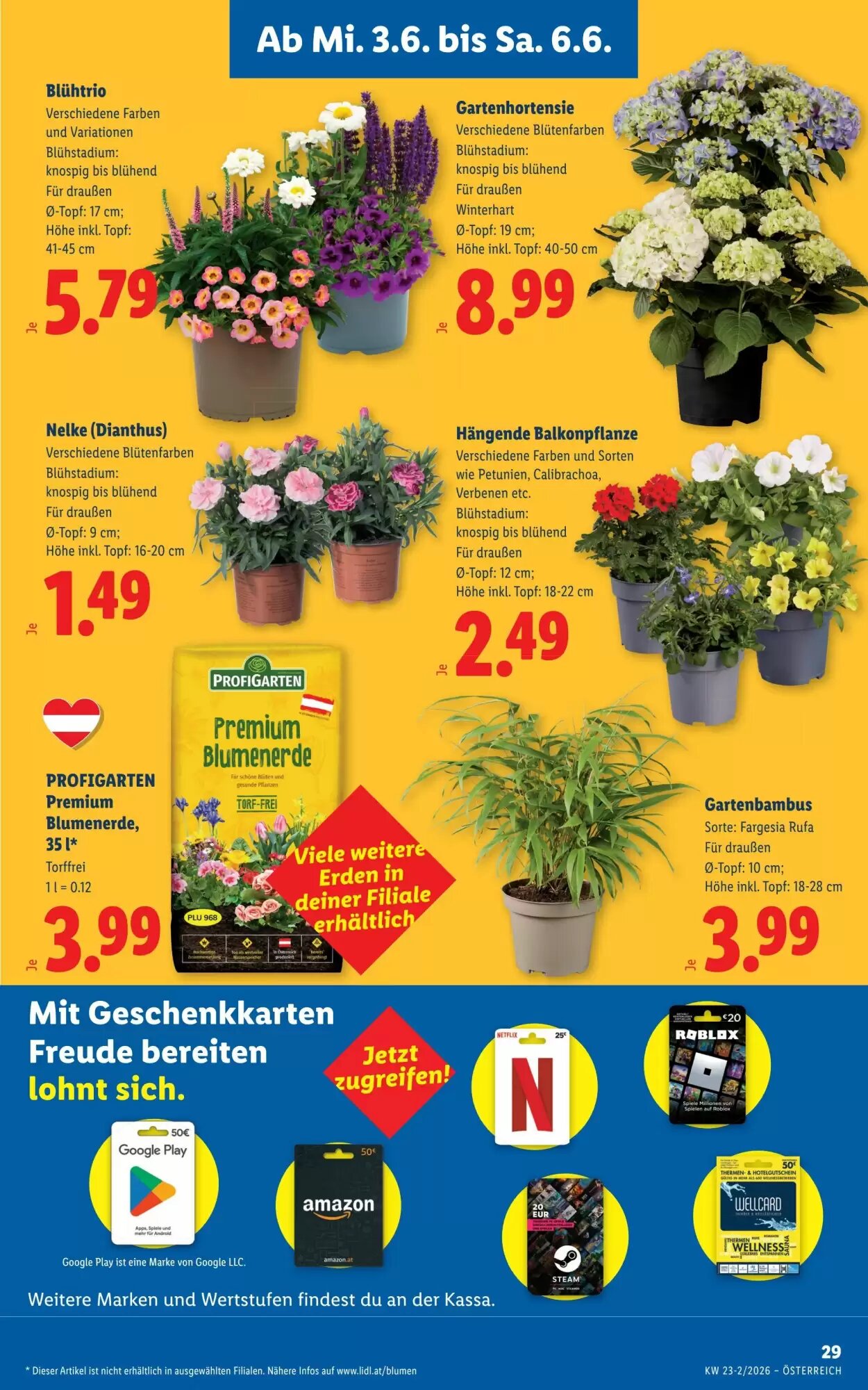 Lidl Flugblatt (ab 03.06.2026) - Angebote und Prospekt - Seite 33