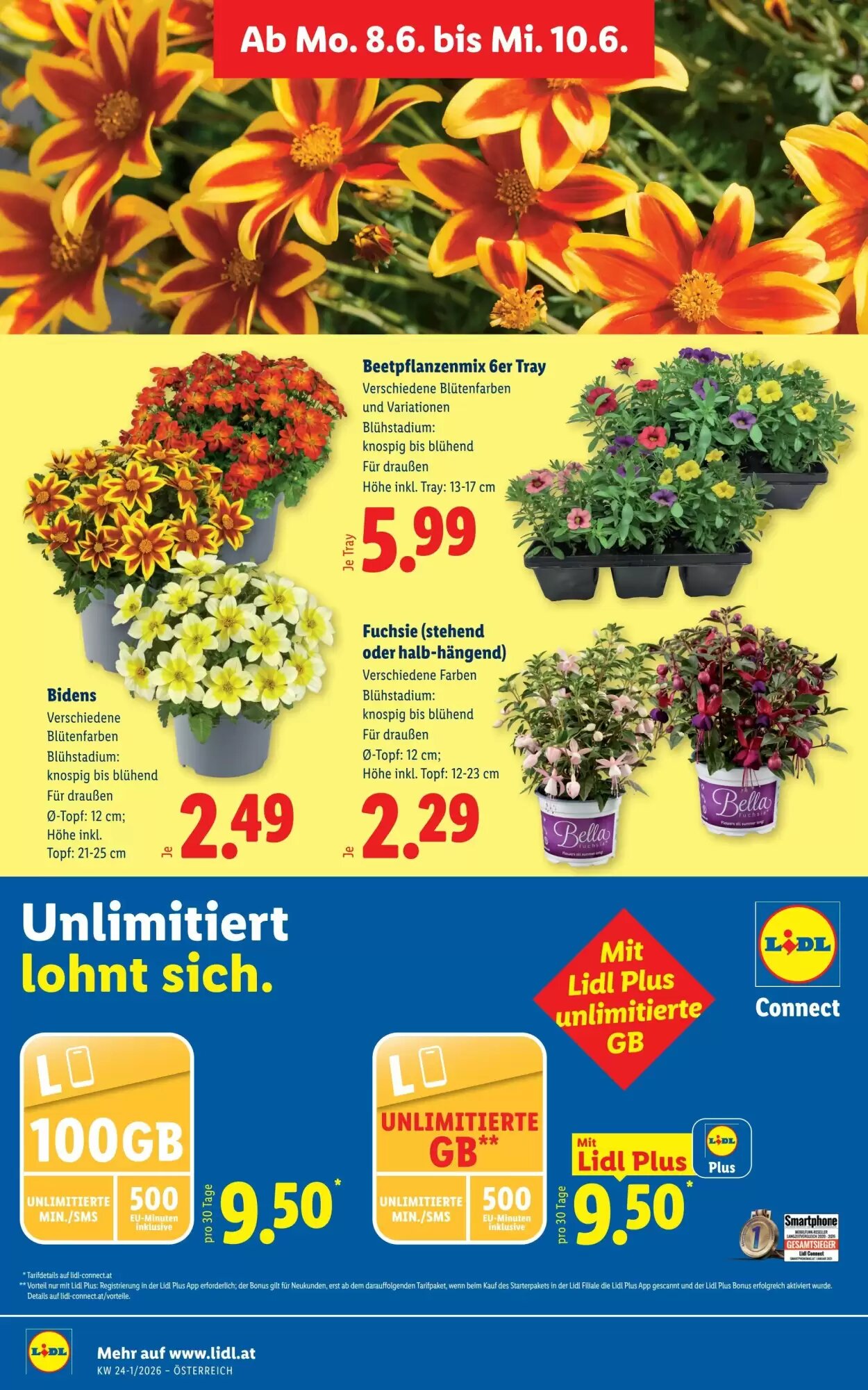 Lidl Flugblatt (ab 03.06.2026) - Angebote und Prospekt - Seite 35