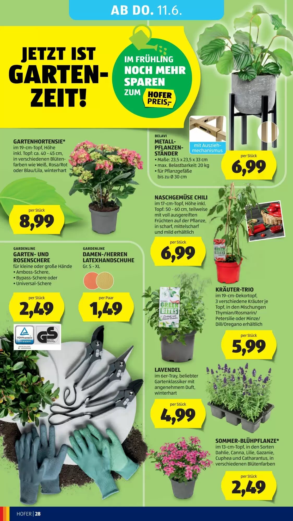 Hofer Flugblatt (ab 03.06.2026) - Angebote und Prospekt - Seite 32