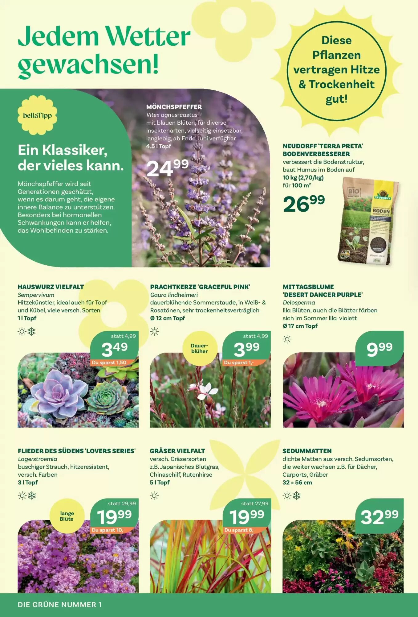 Bellaflora Flugblatt (ab 05.06.2026) - Angebote und Prospekt - Seite 2