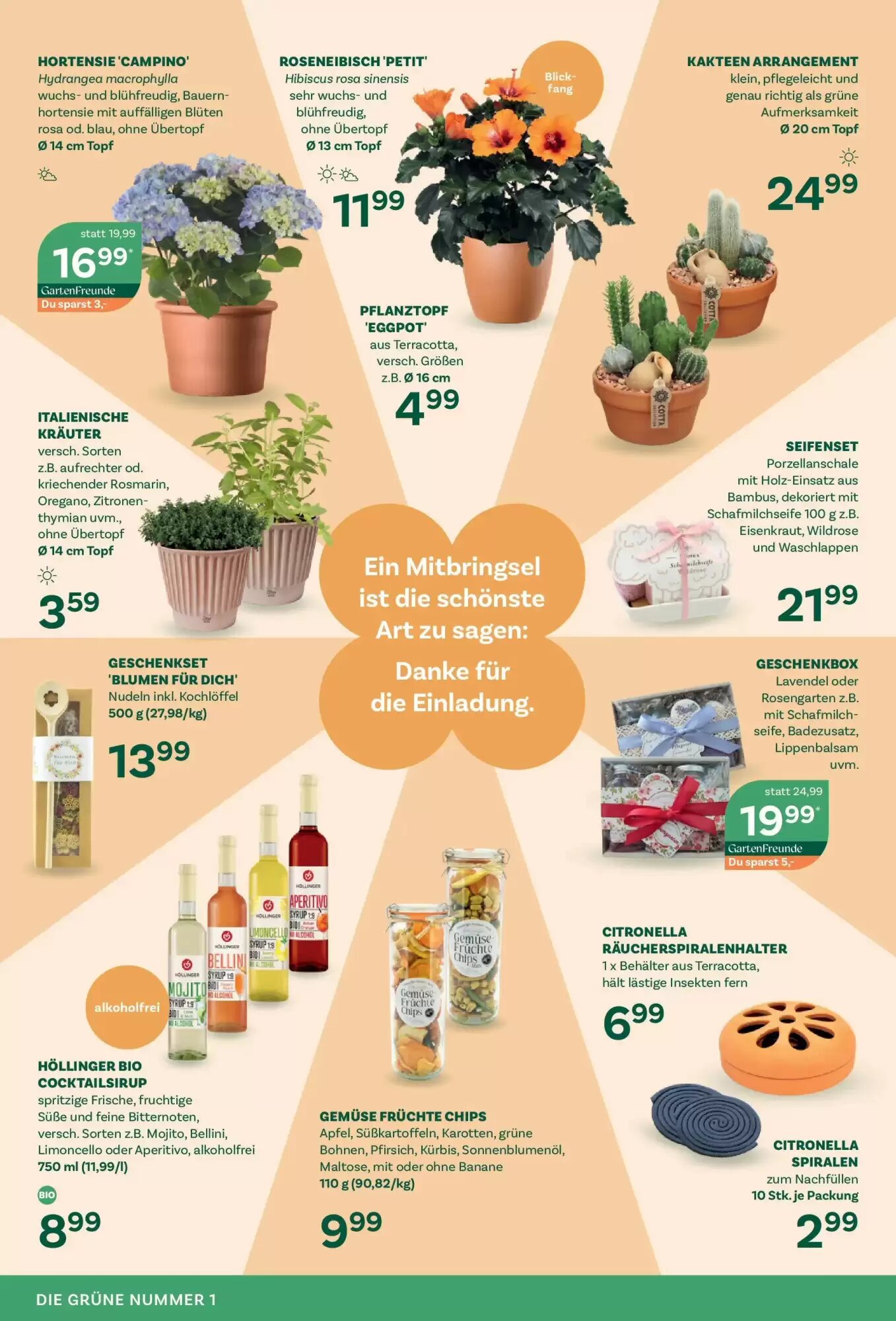 Bellaflora Flugblatt (ab 05.06.2026) - Angebote und Prospekt - Seite 4